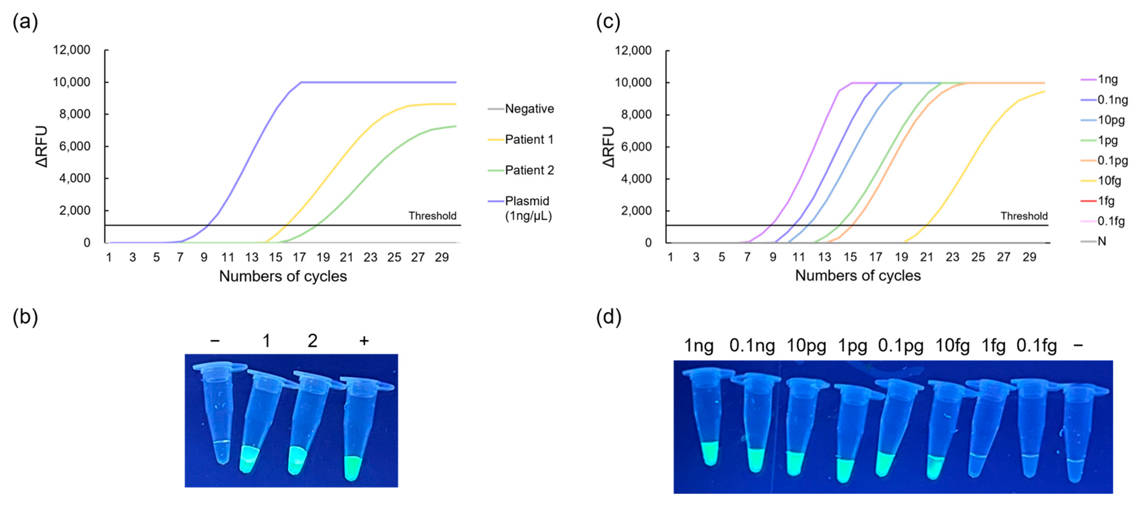 Biosensors 13 00535 g007