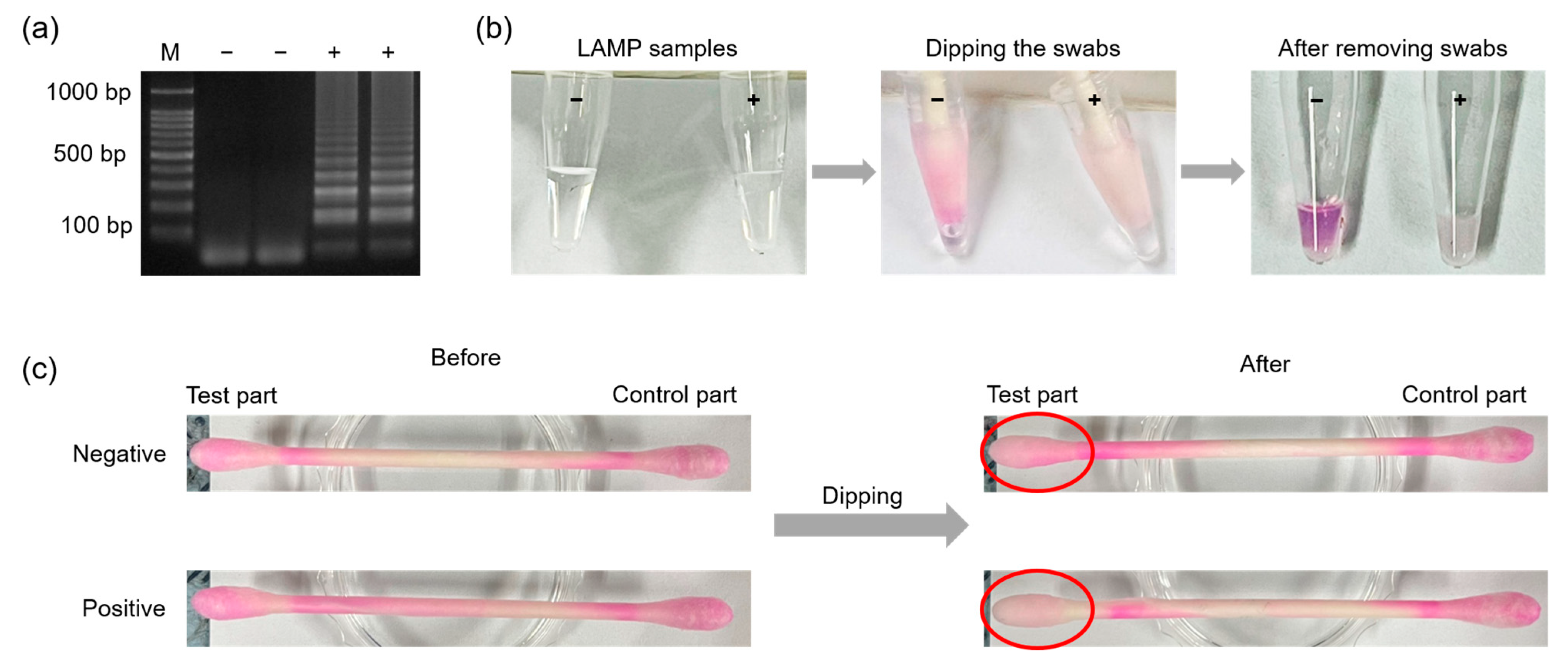 Biosensors 13 00535 g008