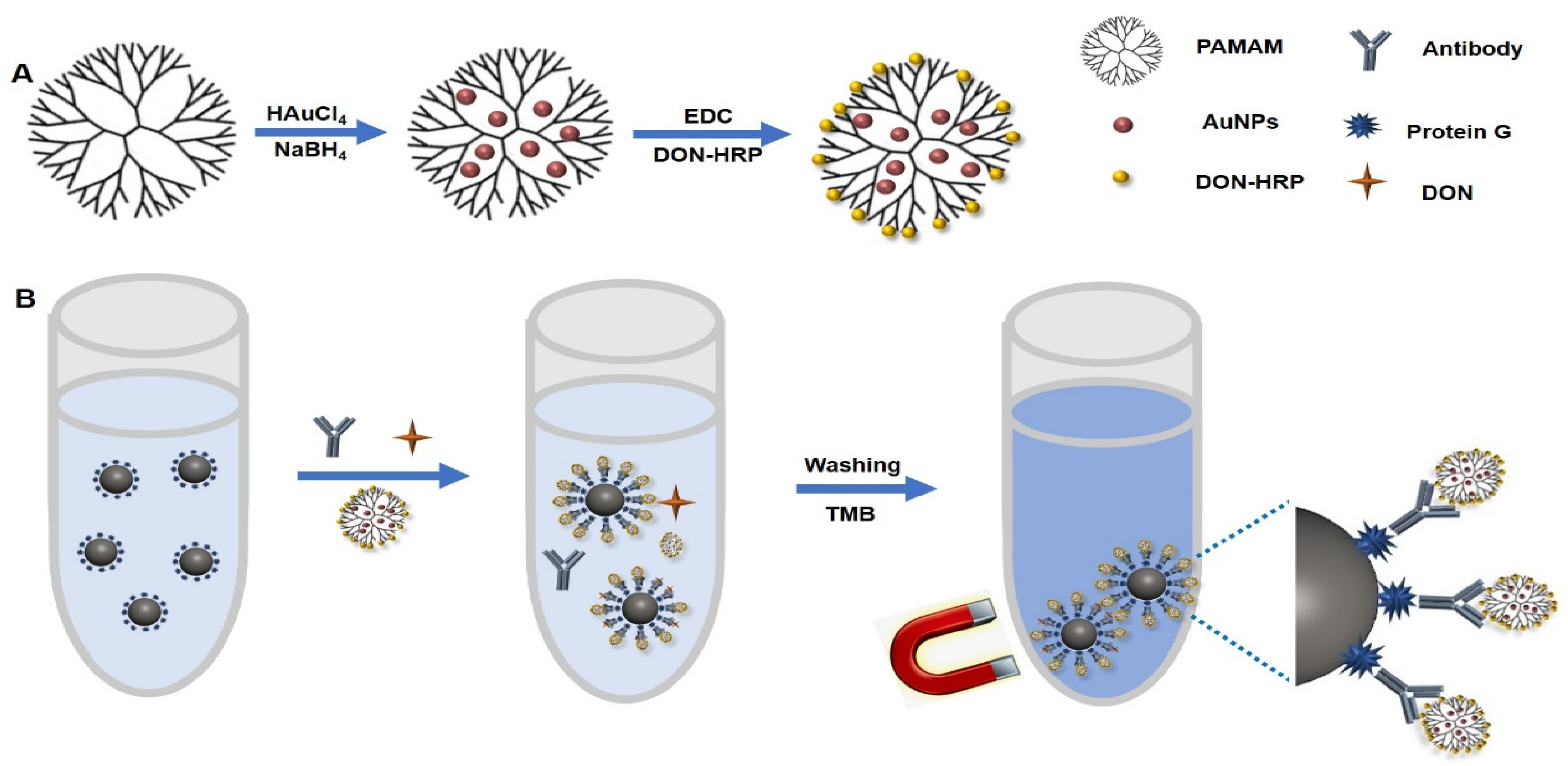 Biosensors 13 00536 g001