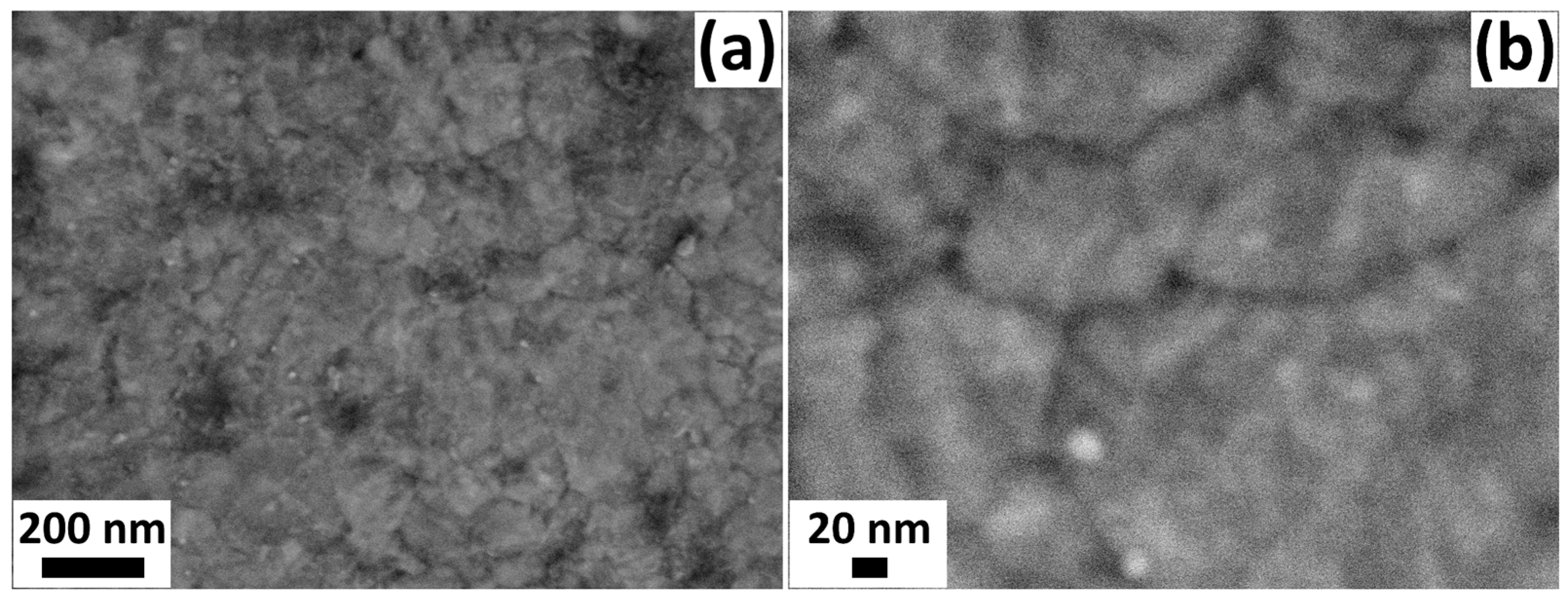 Biosensors 13 00538 g002