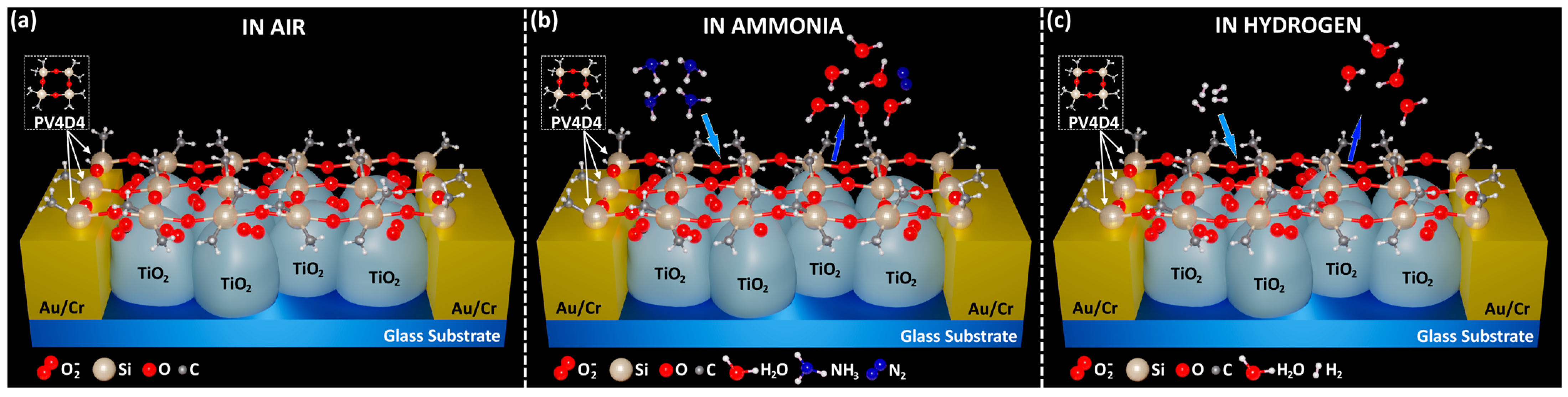 Biosensors 13 00538 g006