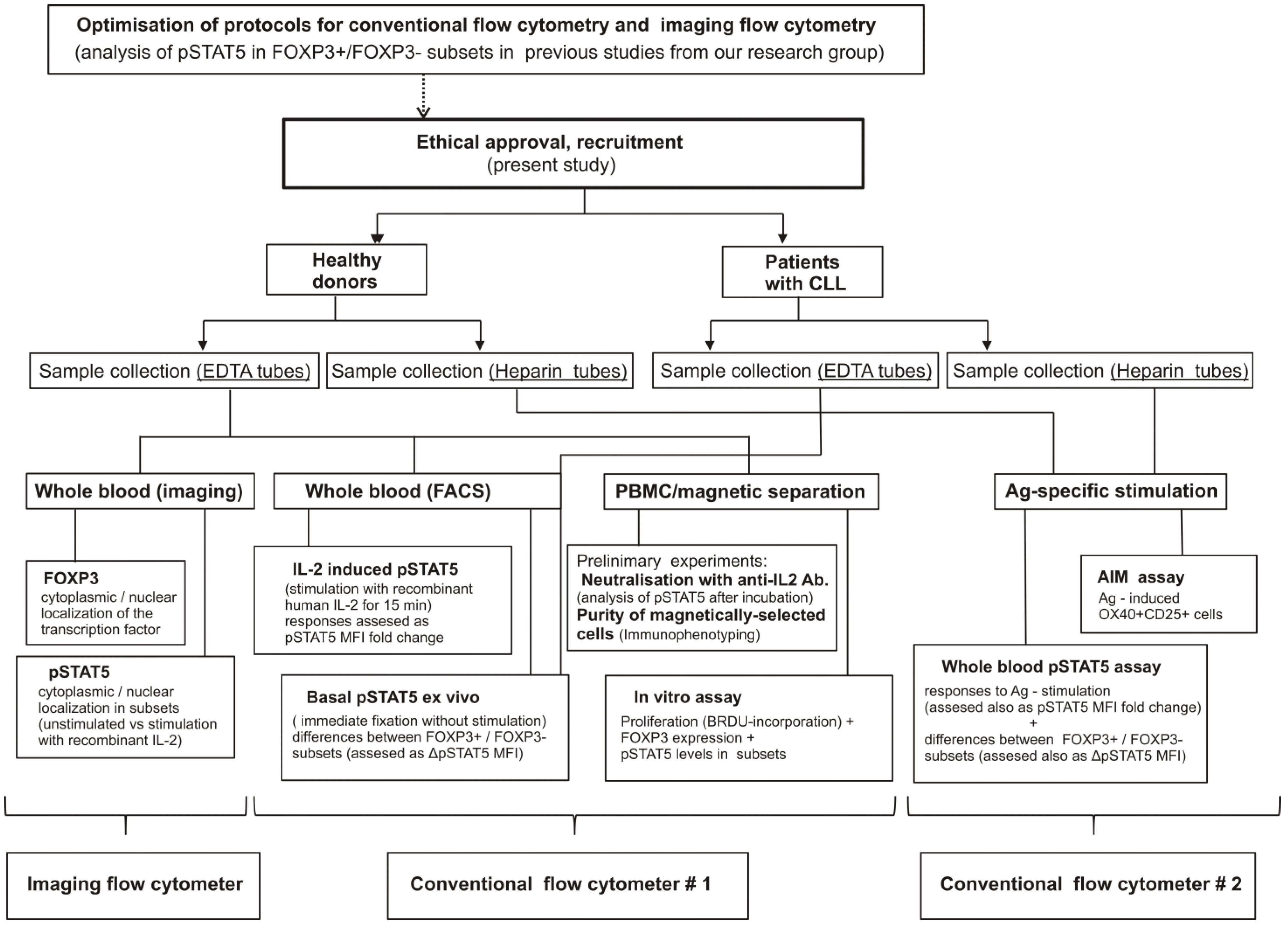 Biosensors 13 00539 g001