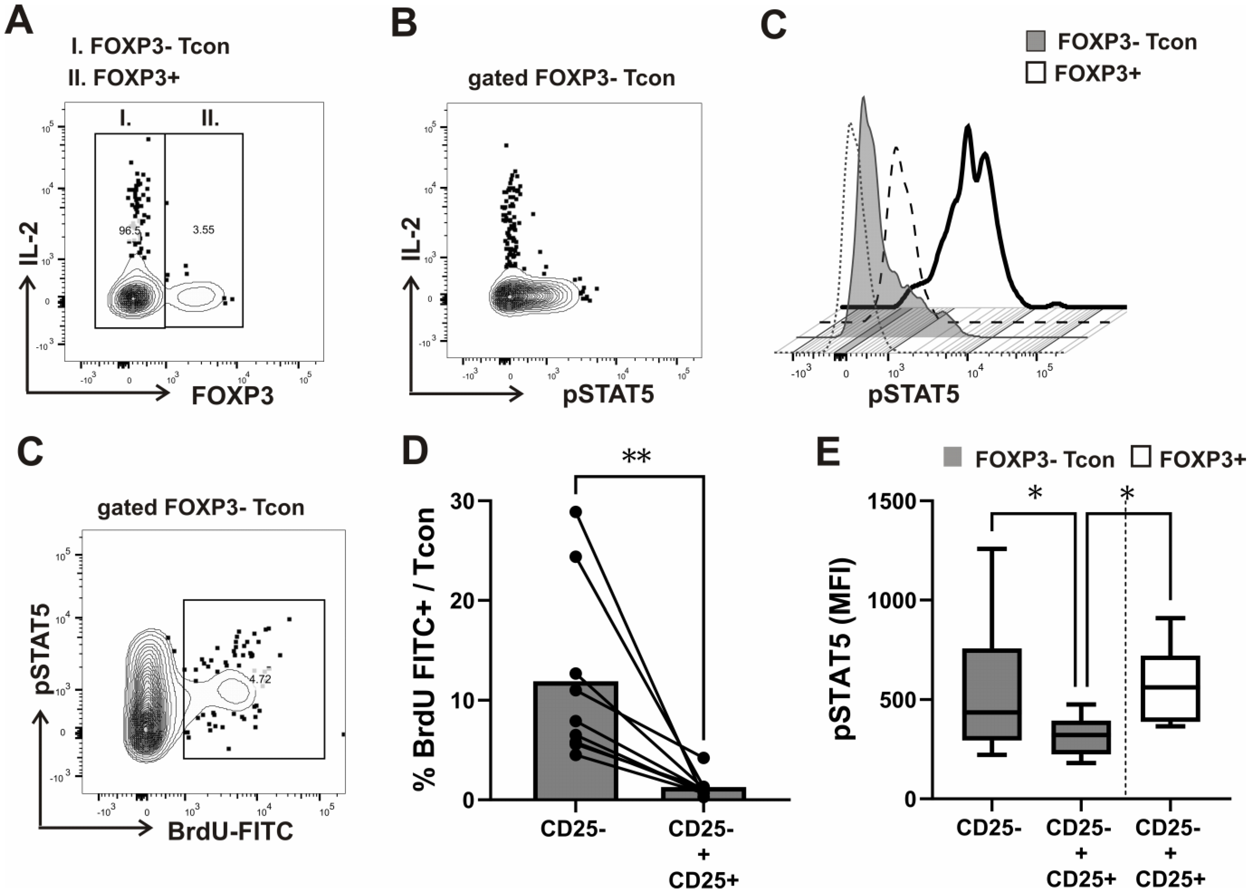 Biosensors 13 00539 g002