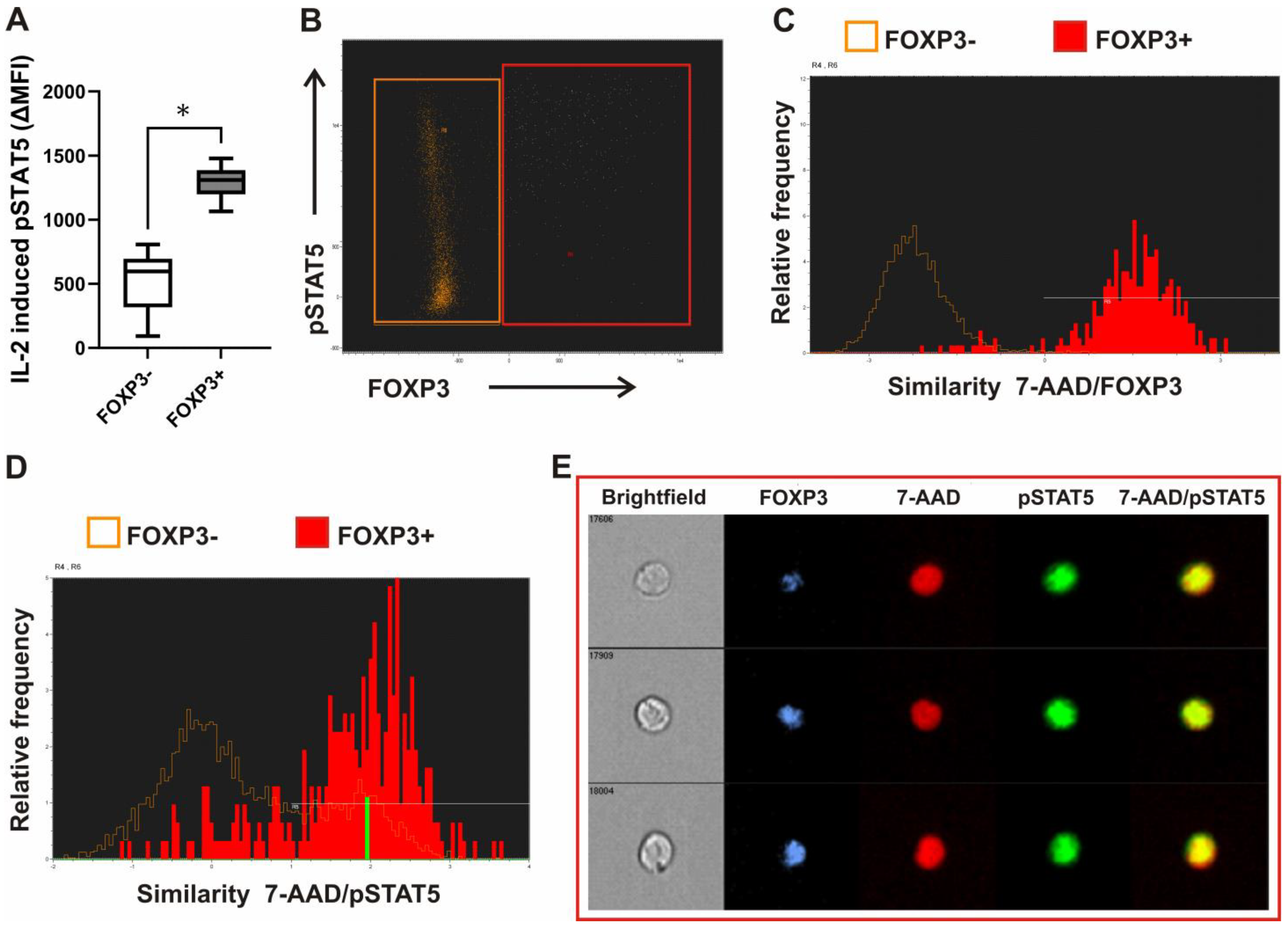Biosensors 13 00539 g004