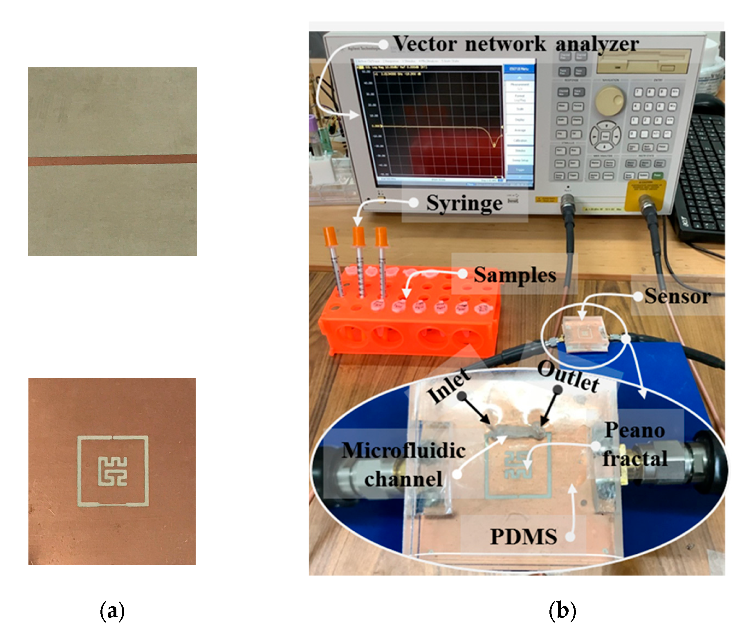Biosensors 13 00541 g007
