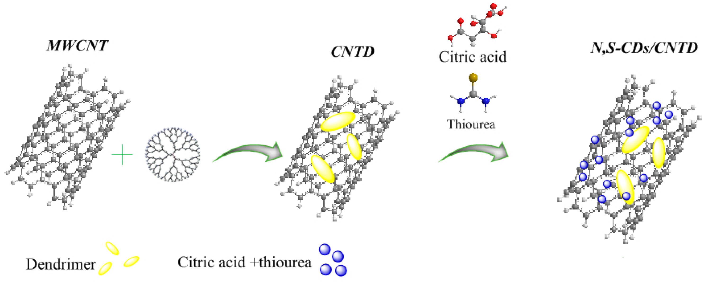 Biosensors 13 00547 sch001