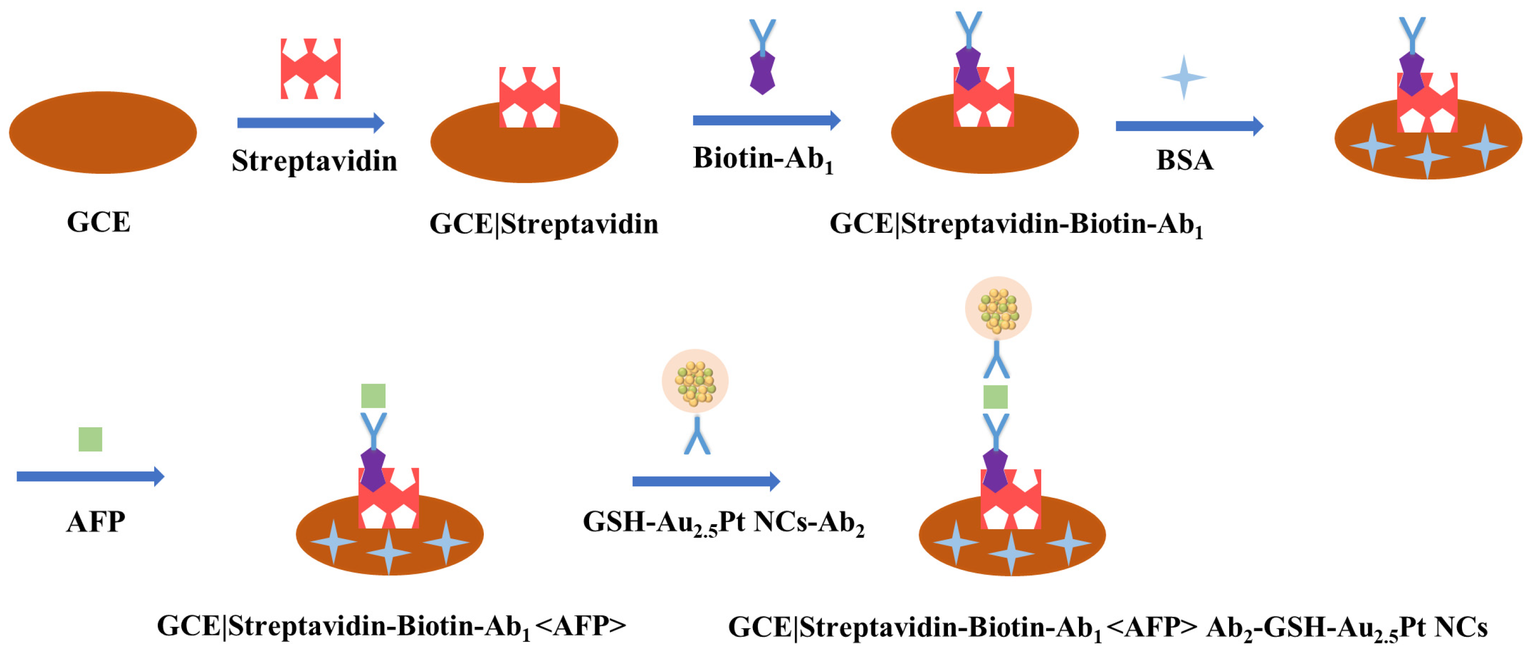 Biosensors 13 00550 sch001