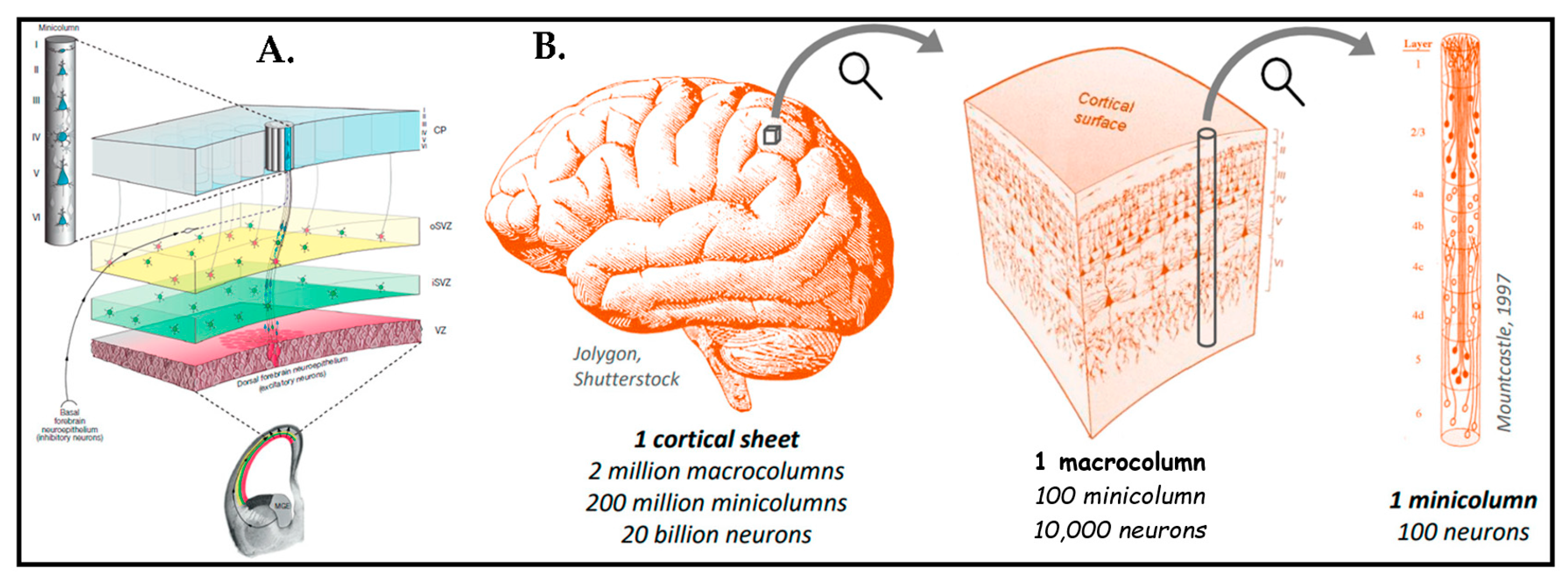 Biosensors 13 00551 g001