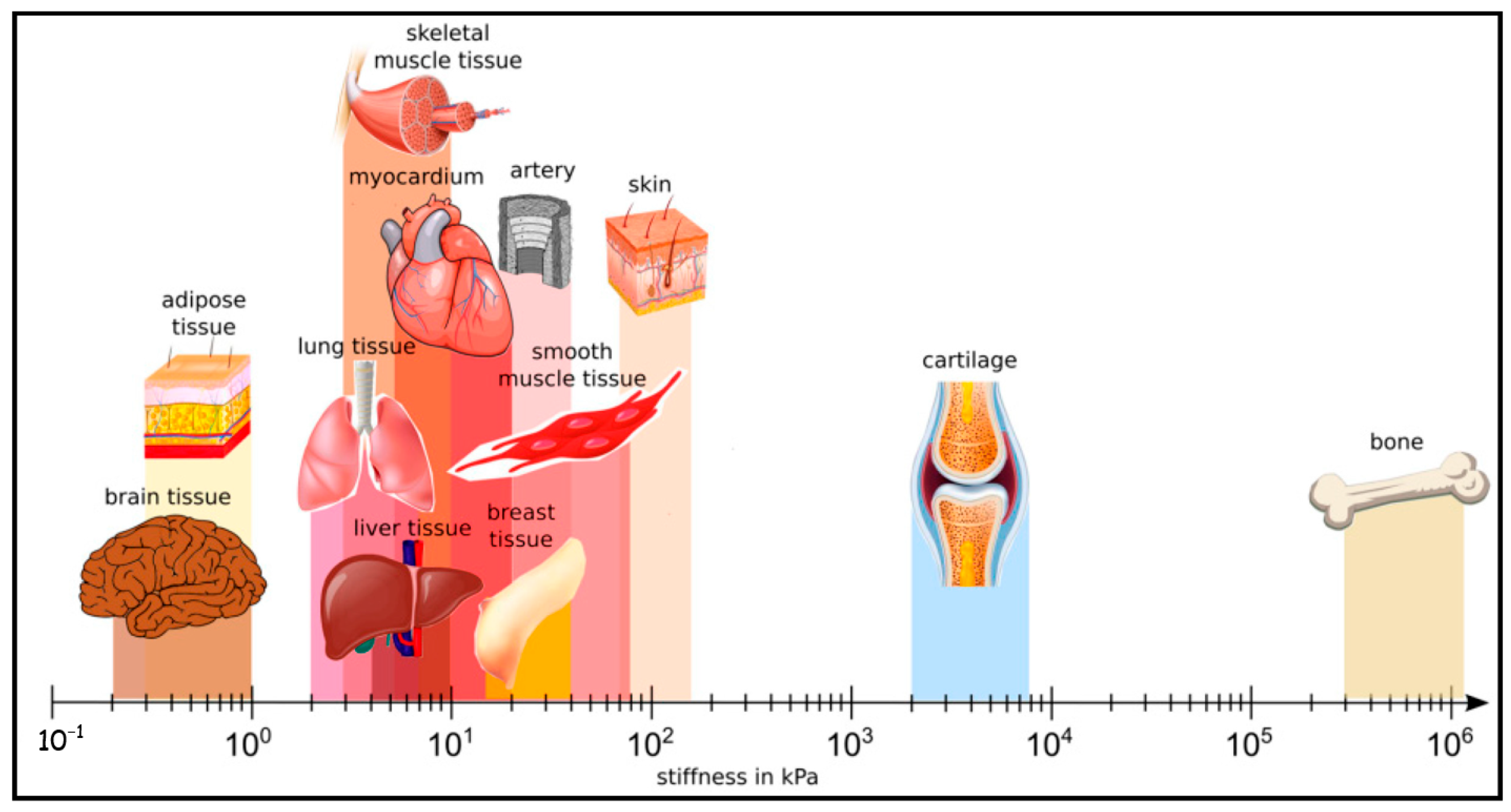 Biosensors 13 00551 g003