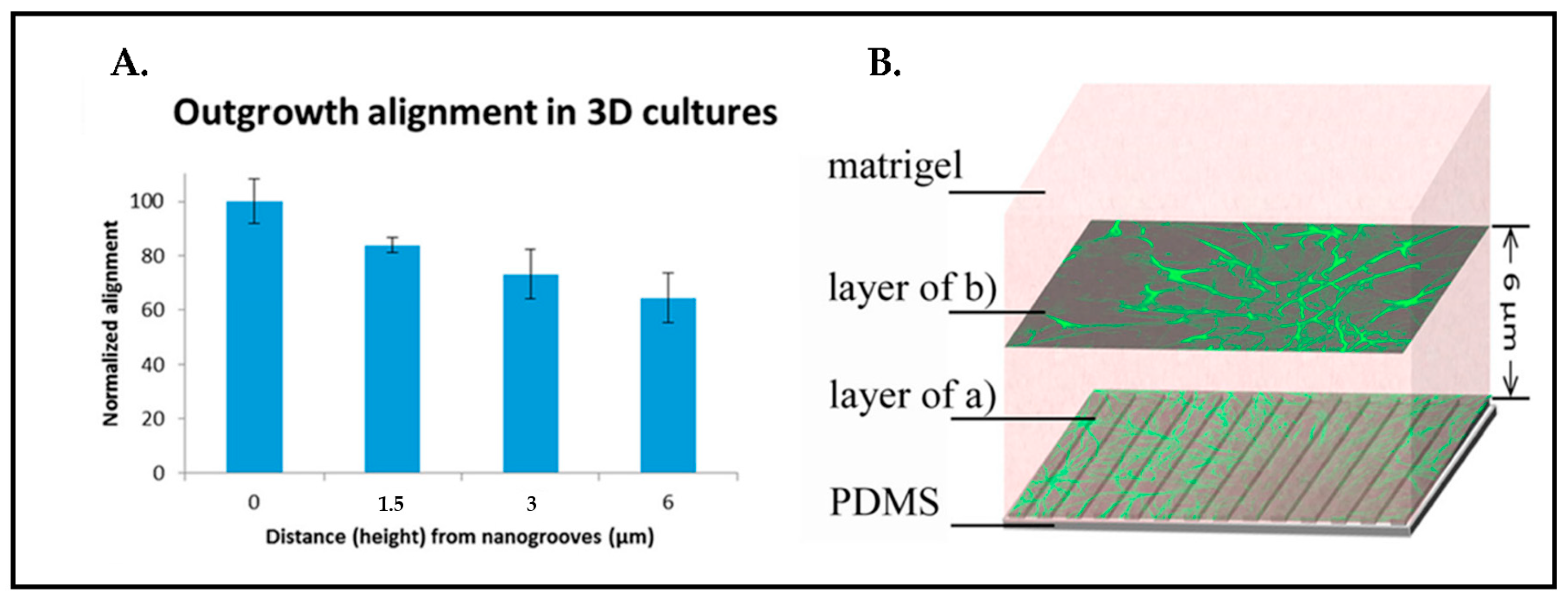 Biosensors 13 00551 g015