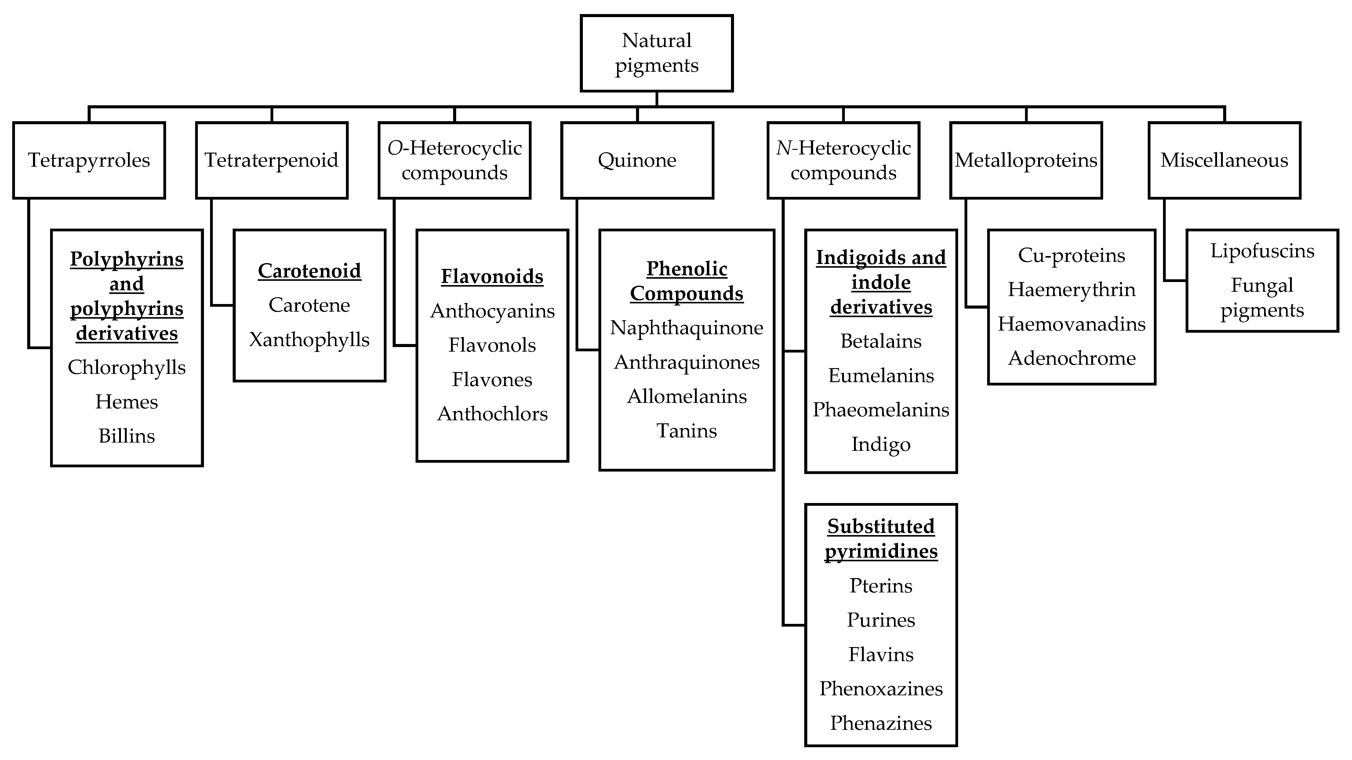 Biosensors 13 00554 g001