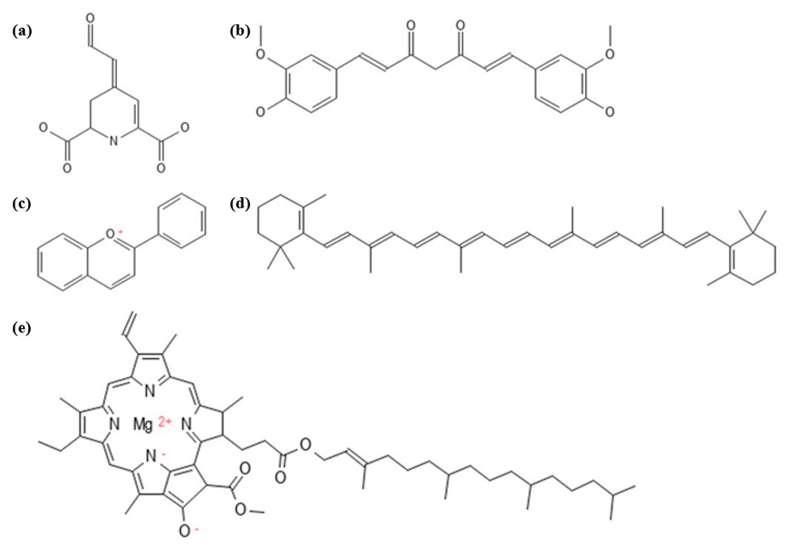 Biosensors 13 00554 g002
