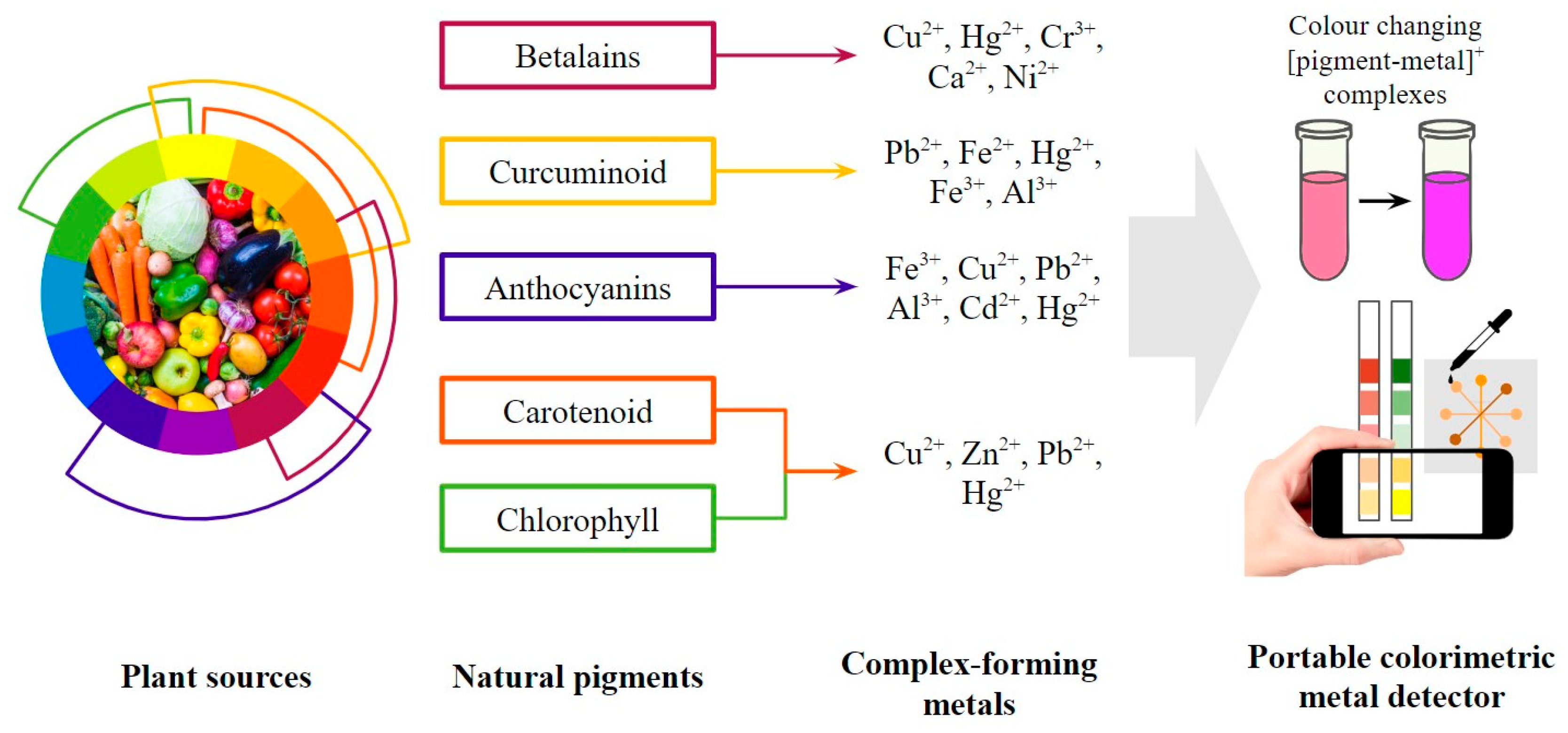 Biosensors 13 00554 g003