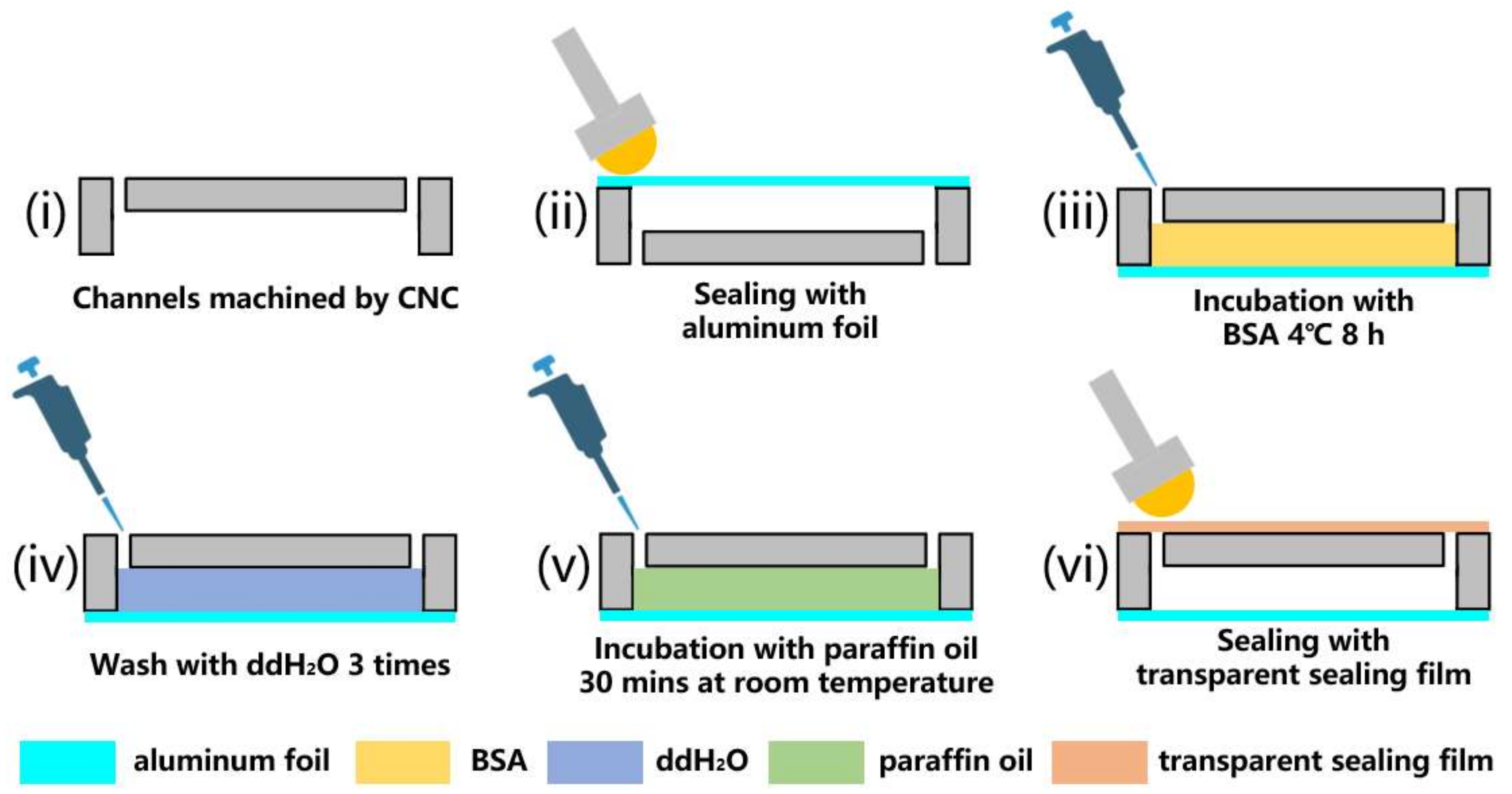 Biosensors 13 00555 g001
