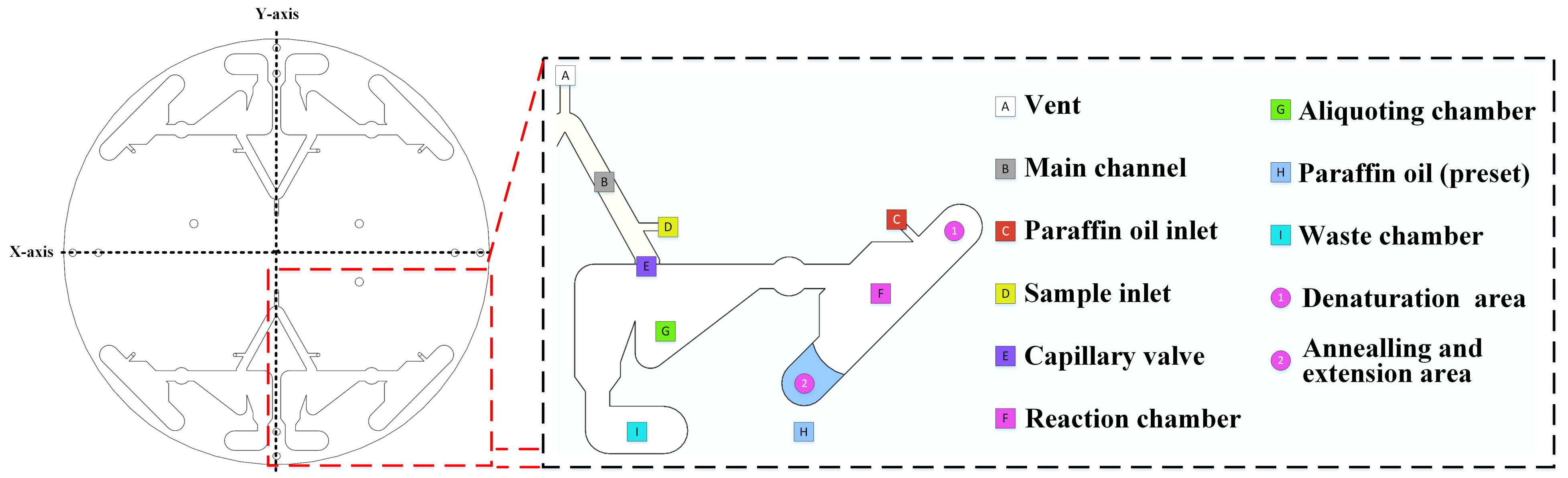 Biosensors 13 00555 g002