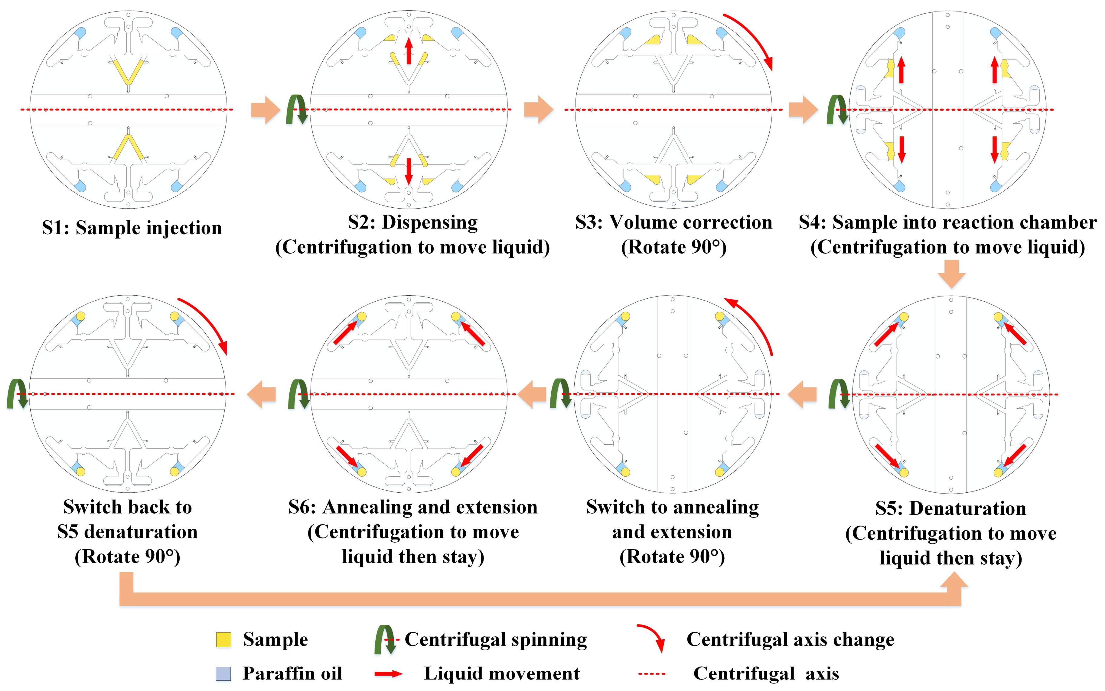 Biosensors 13 00555 g003