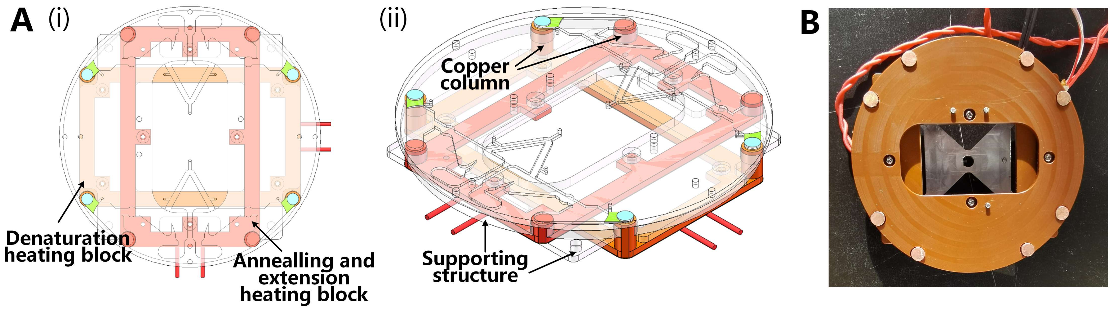 Biosensors 13 00555 g006