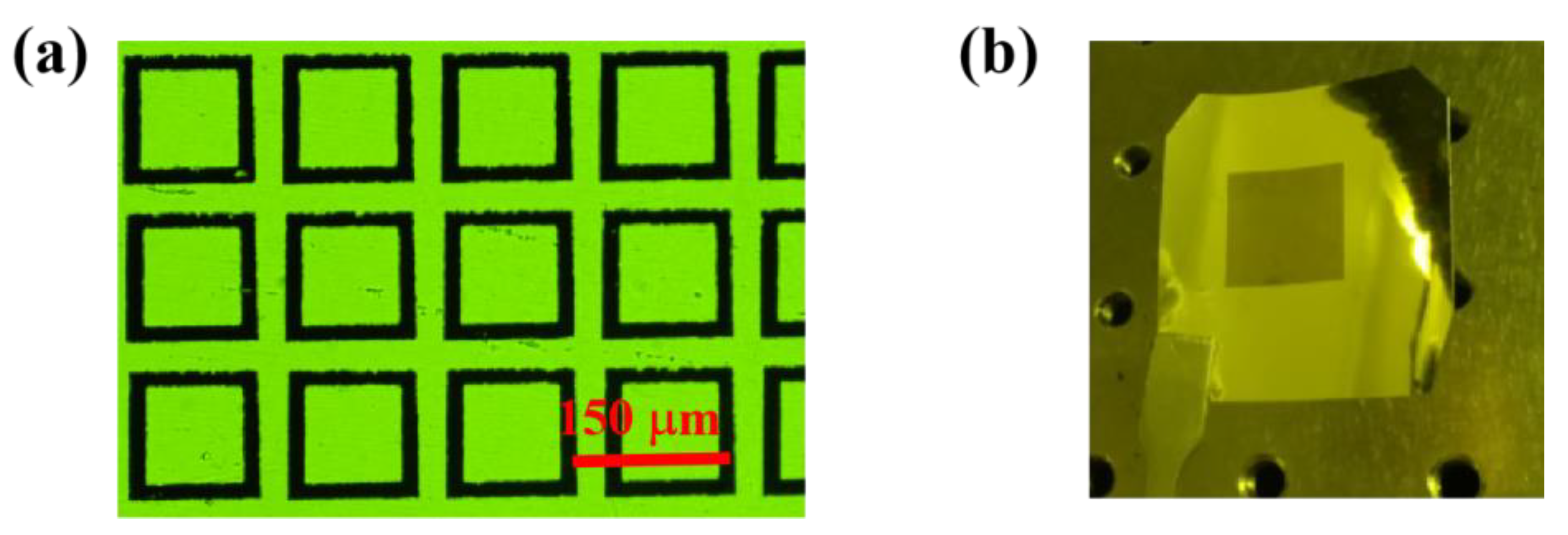 Biosensors 13 00560 g006