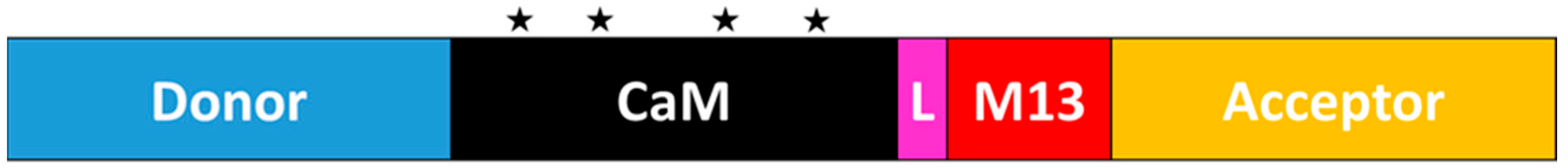 Biosensors 13 00561 g001