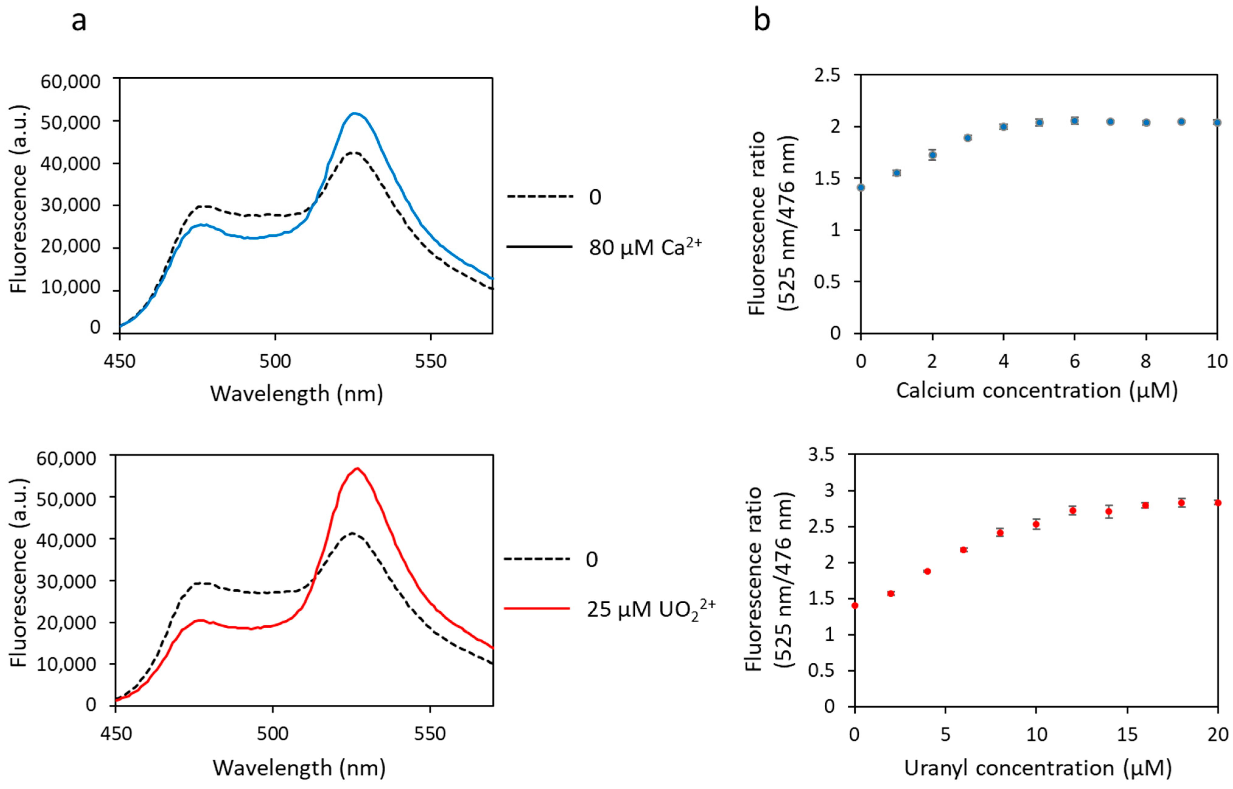 Biosensors 13 00561 g002
