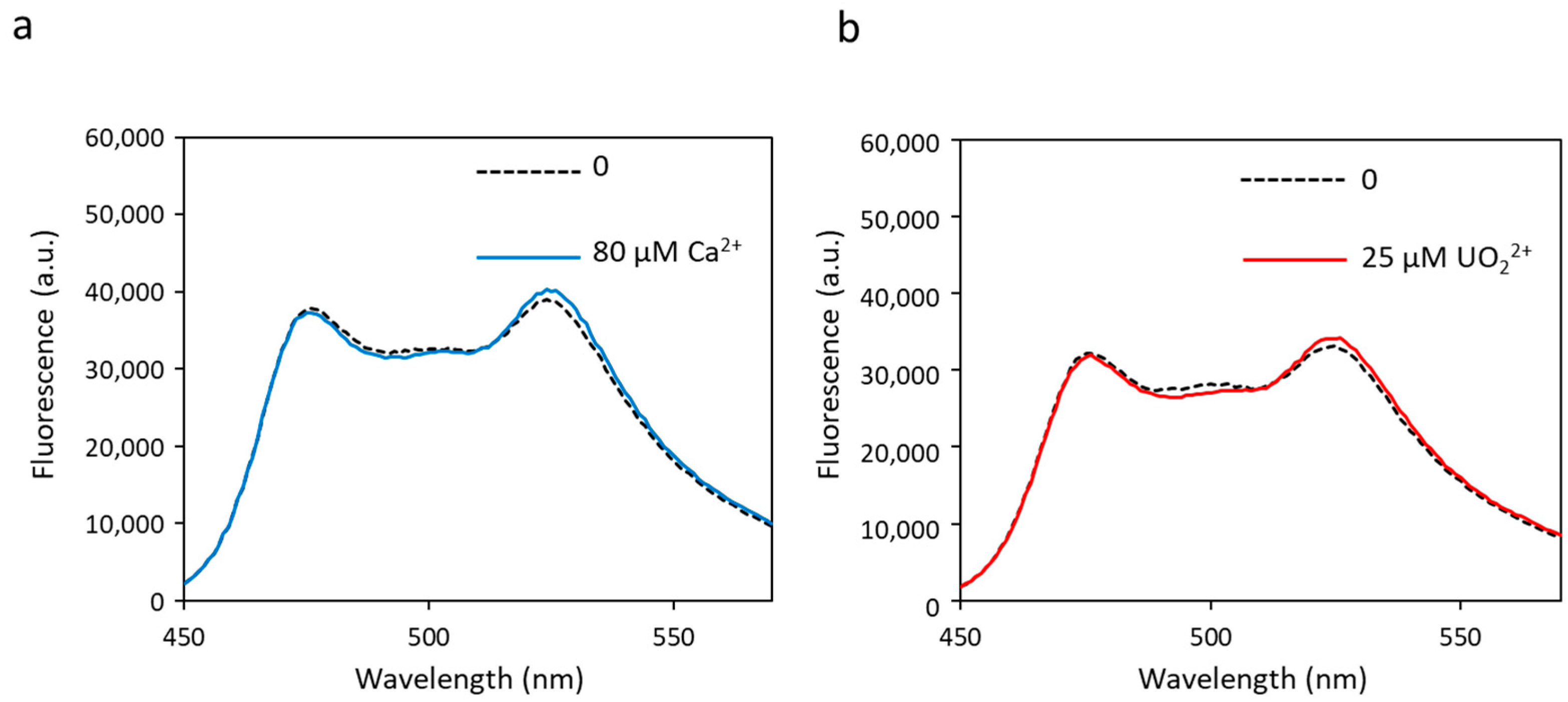 Biosensors 13 00561 g003
