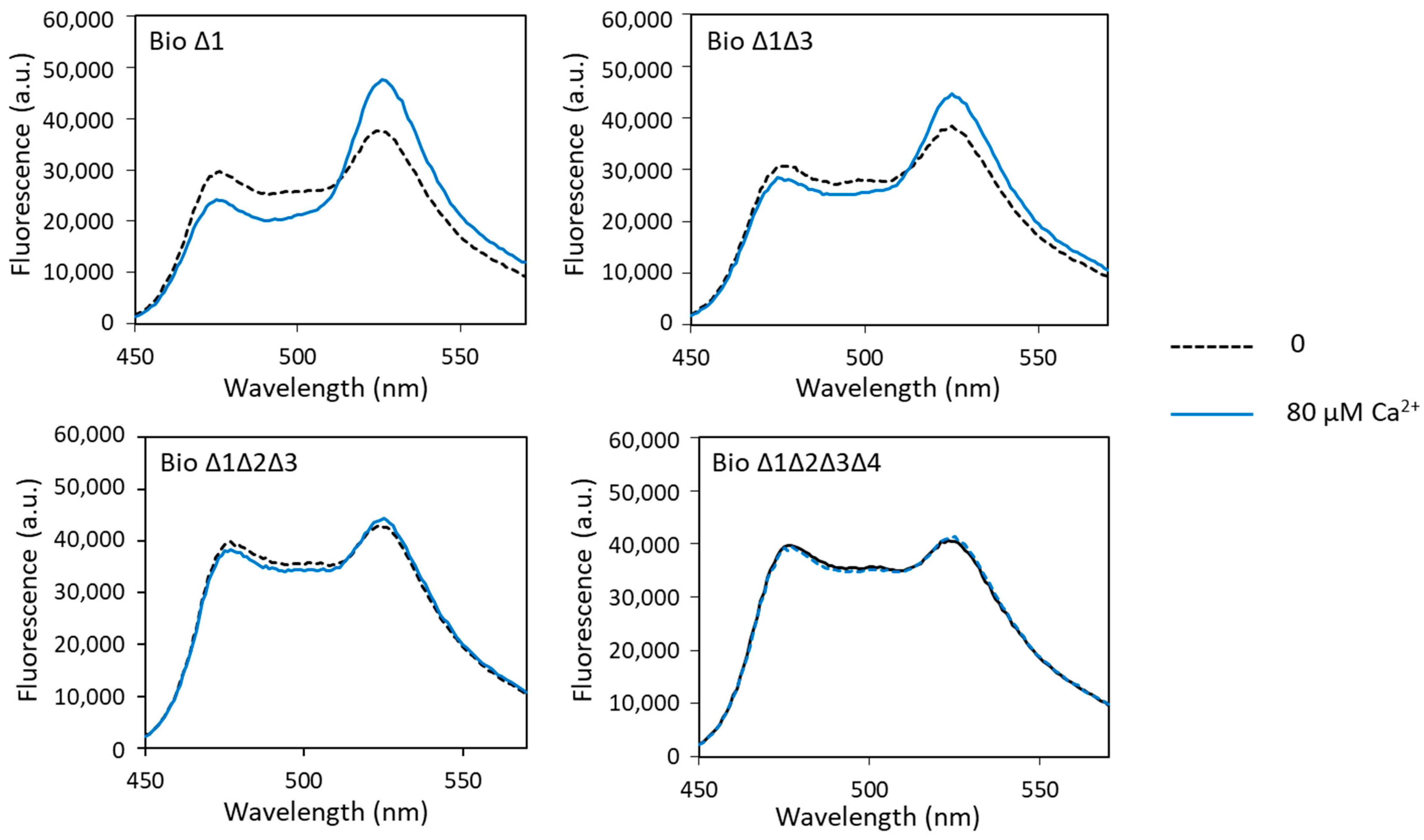 Biosensors 13 00561 g004