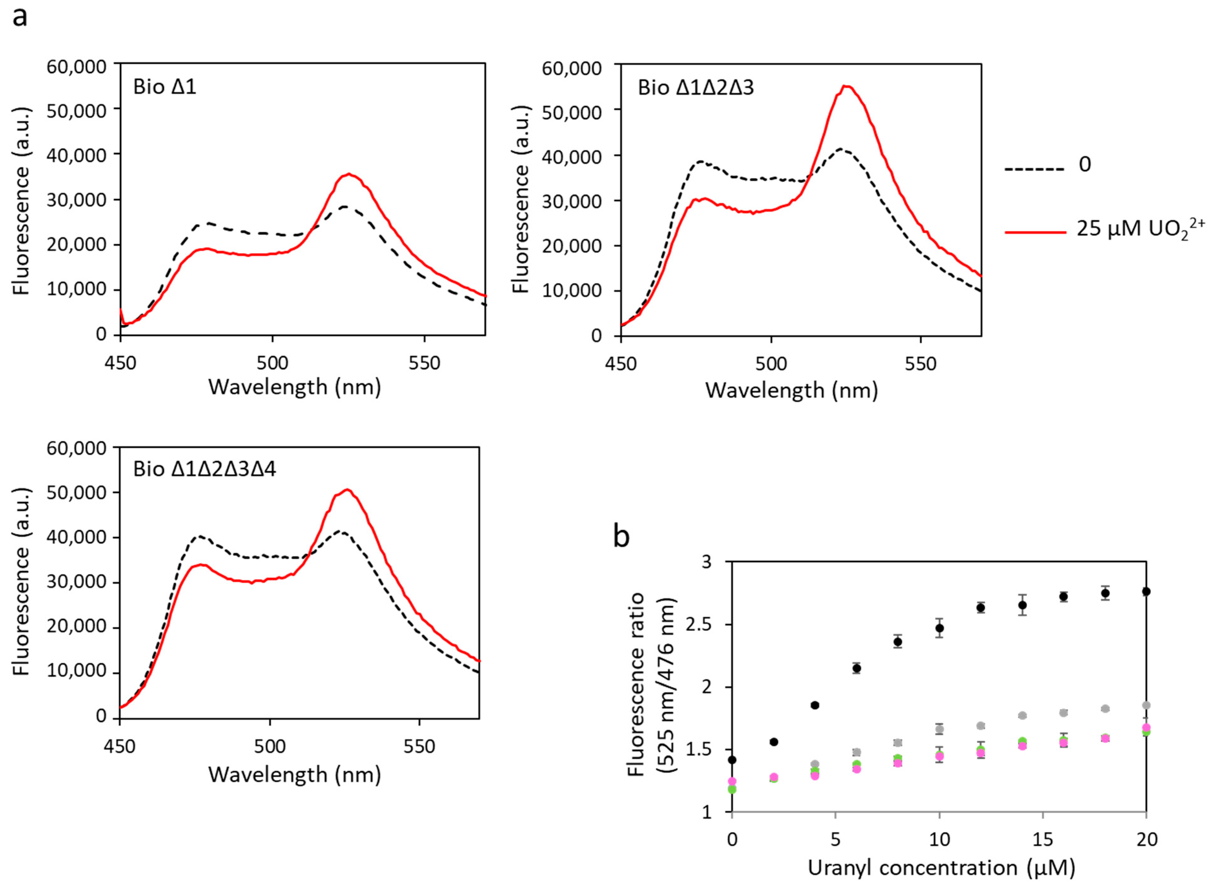 Biosensors 13 00561 g005