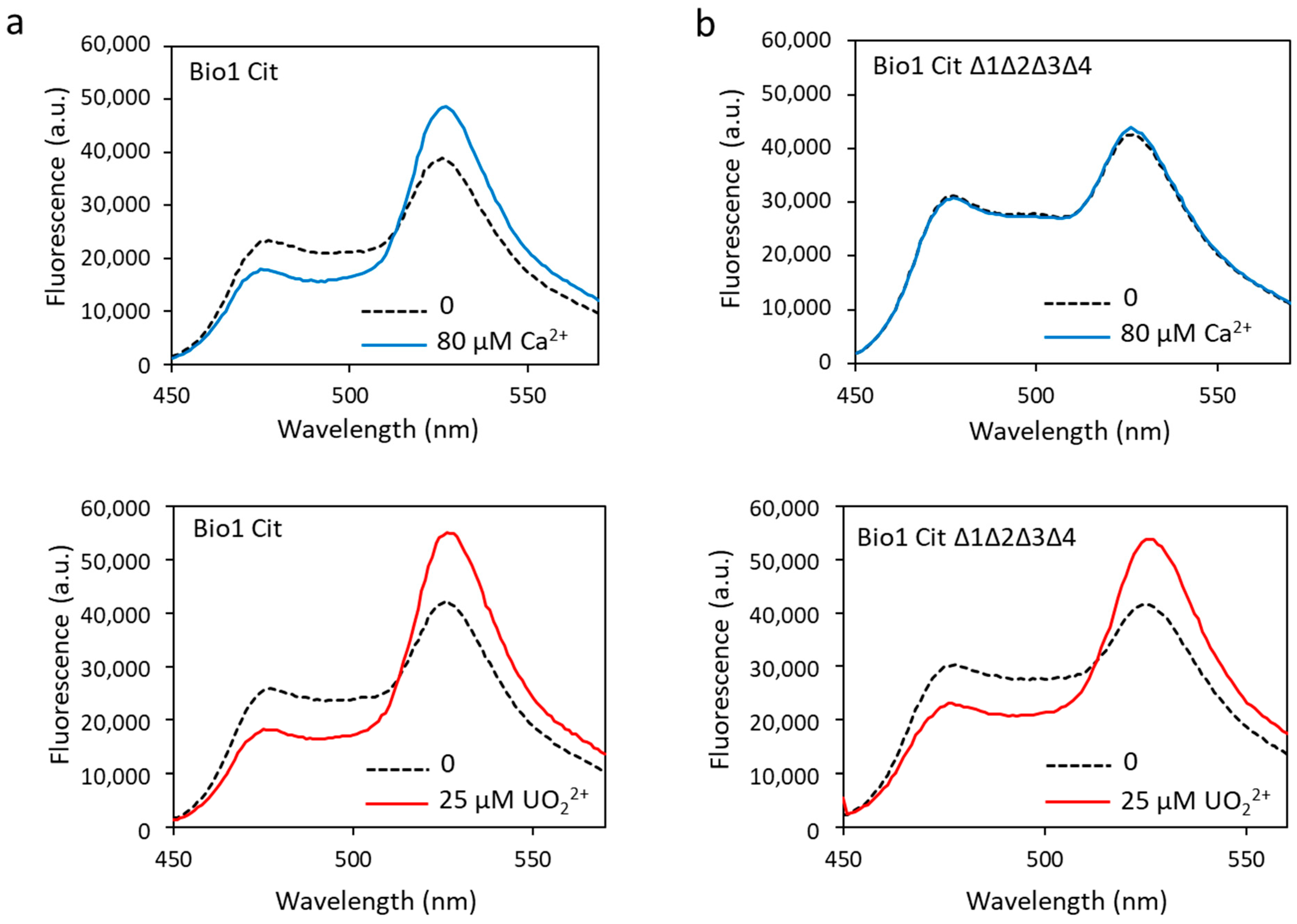Biosensors 13 00561 g007