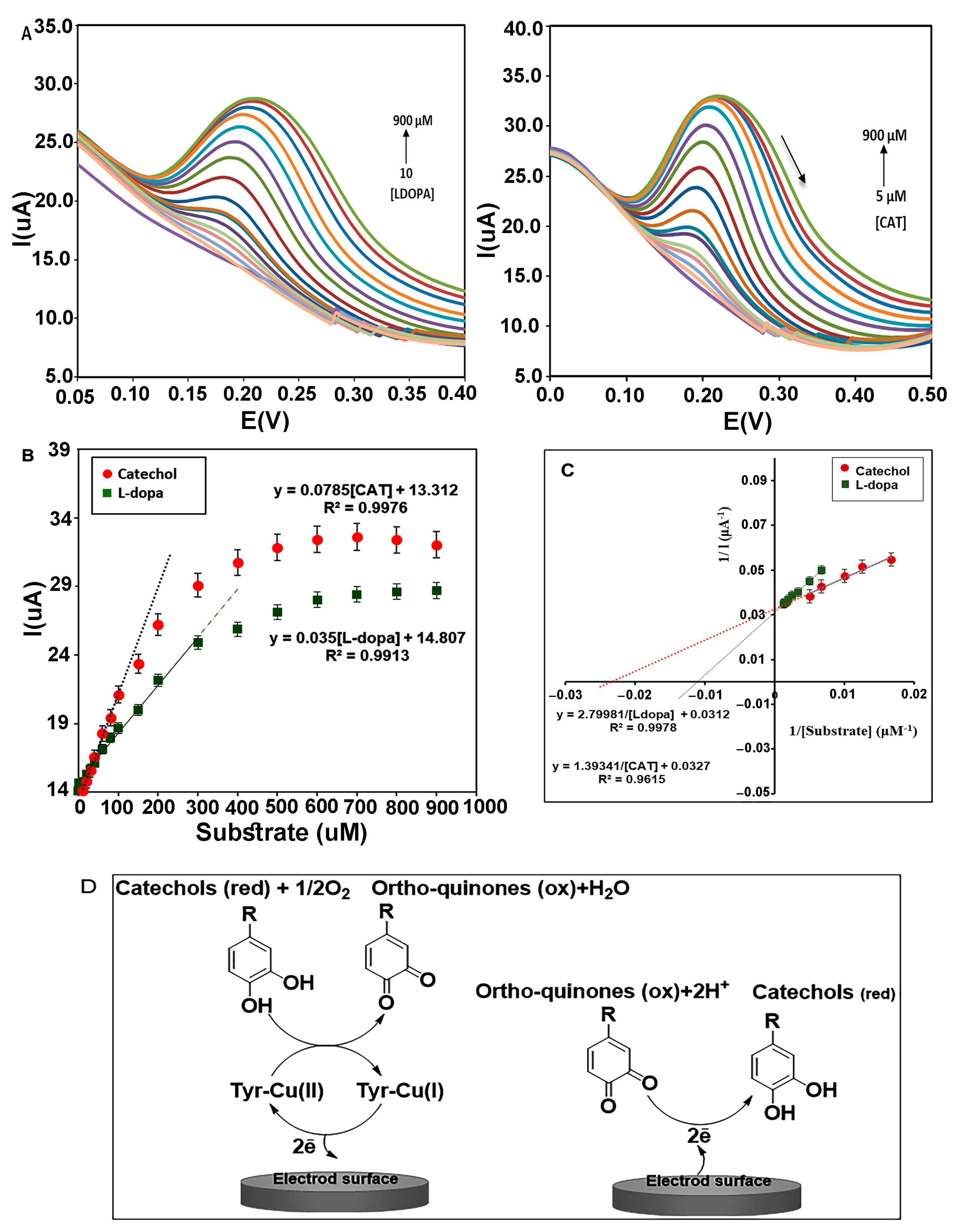 Biosensors 13 00562 g009