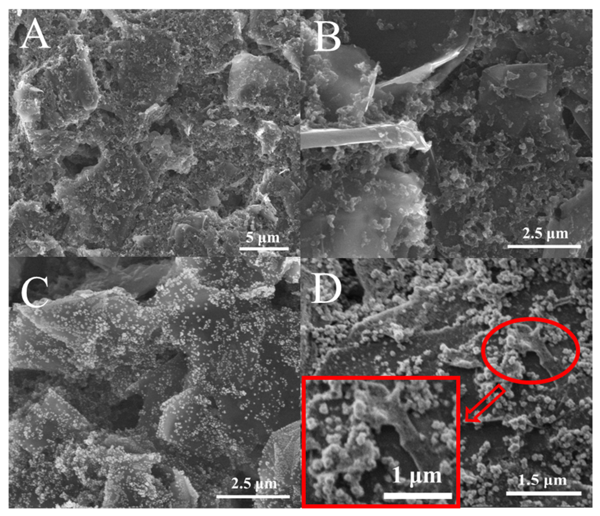 Biosensors 13 00563 g002 Biosensors 13 00563 g002