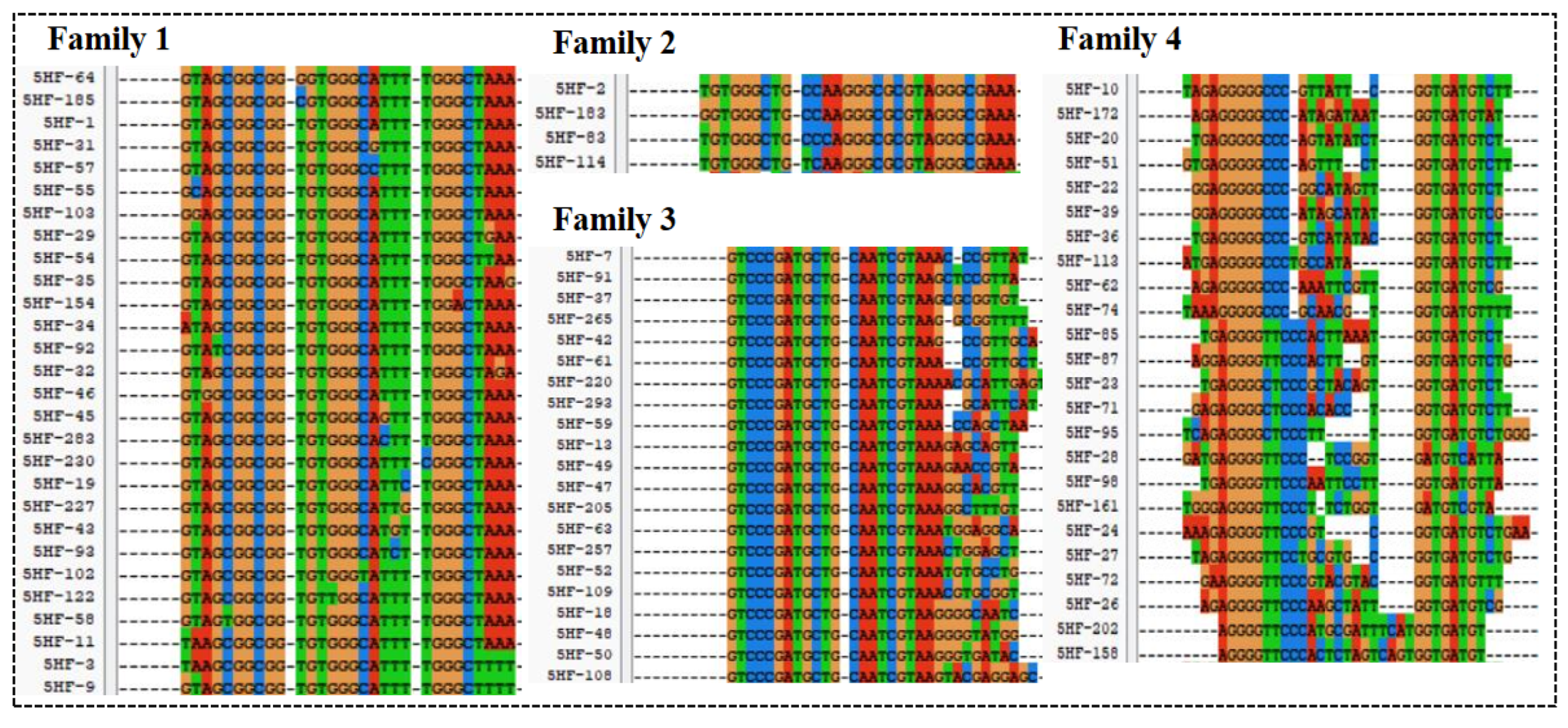 Biosensors 13 00564 g002