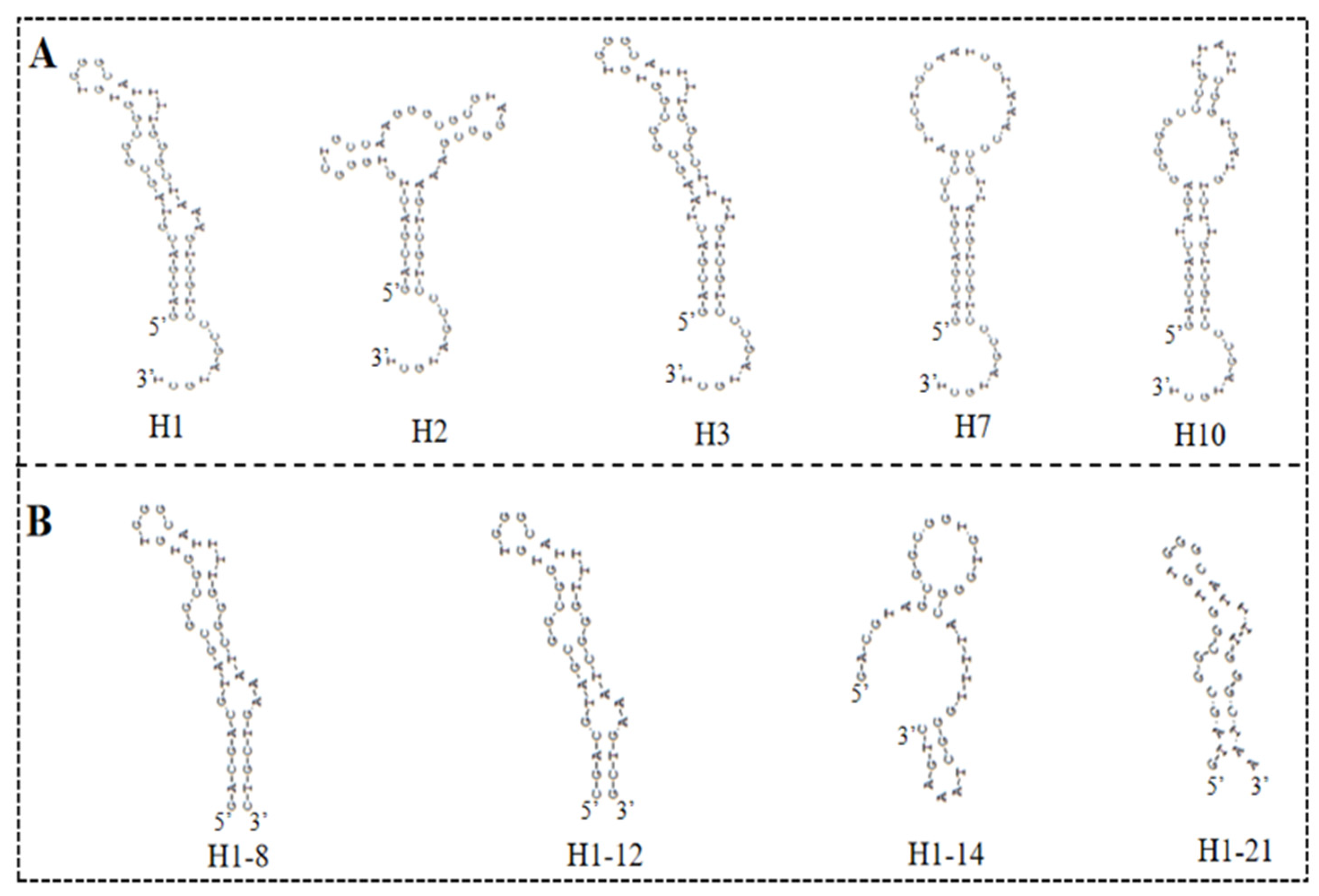 Biosensors 13 00564 g003