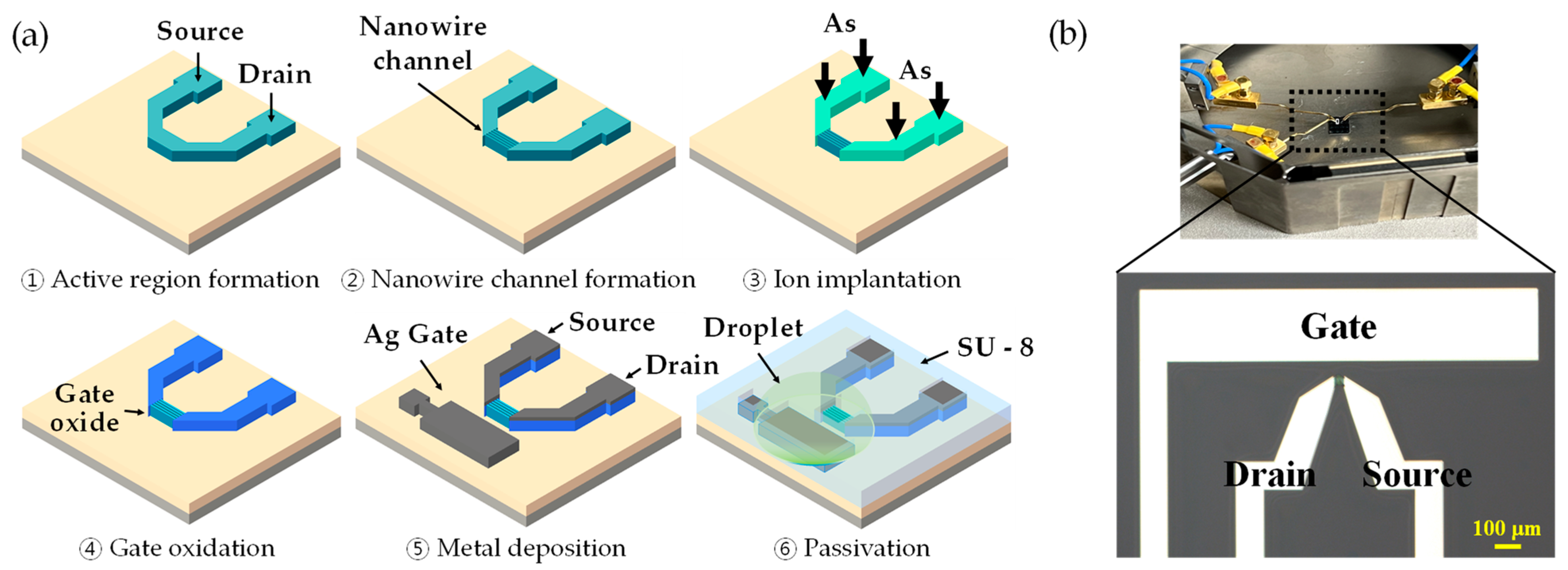 Biosensors 13 00565 g001 Biosensors 13 00565 g001