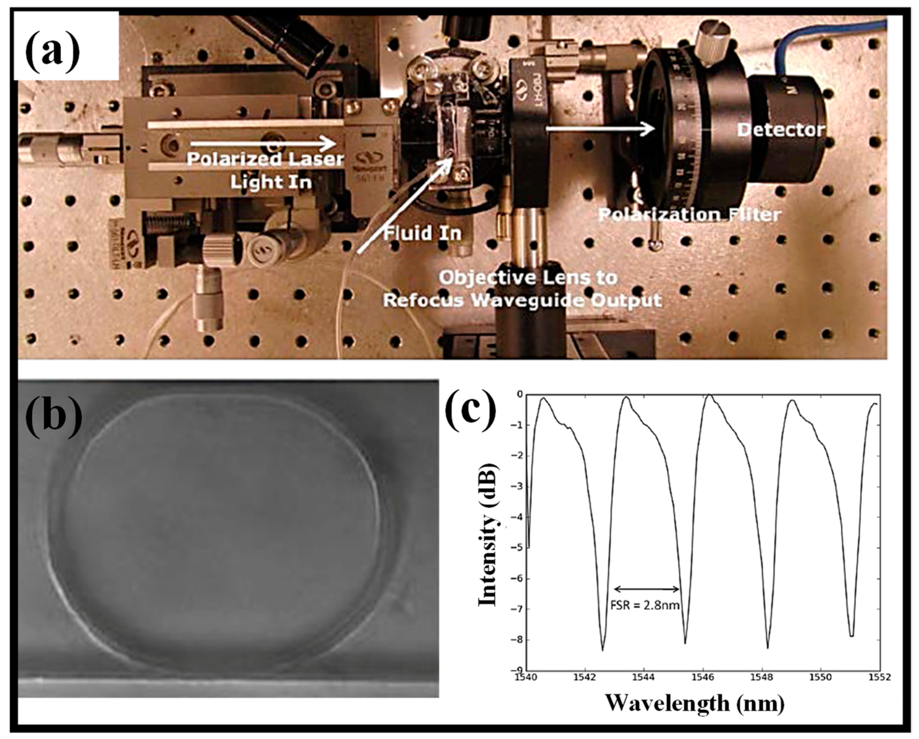 Biosensors 13 00568 g003