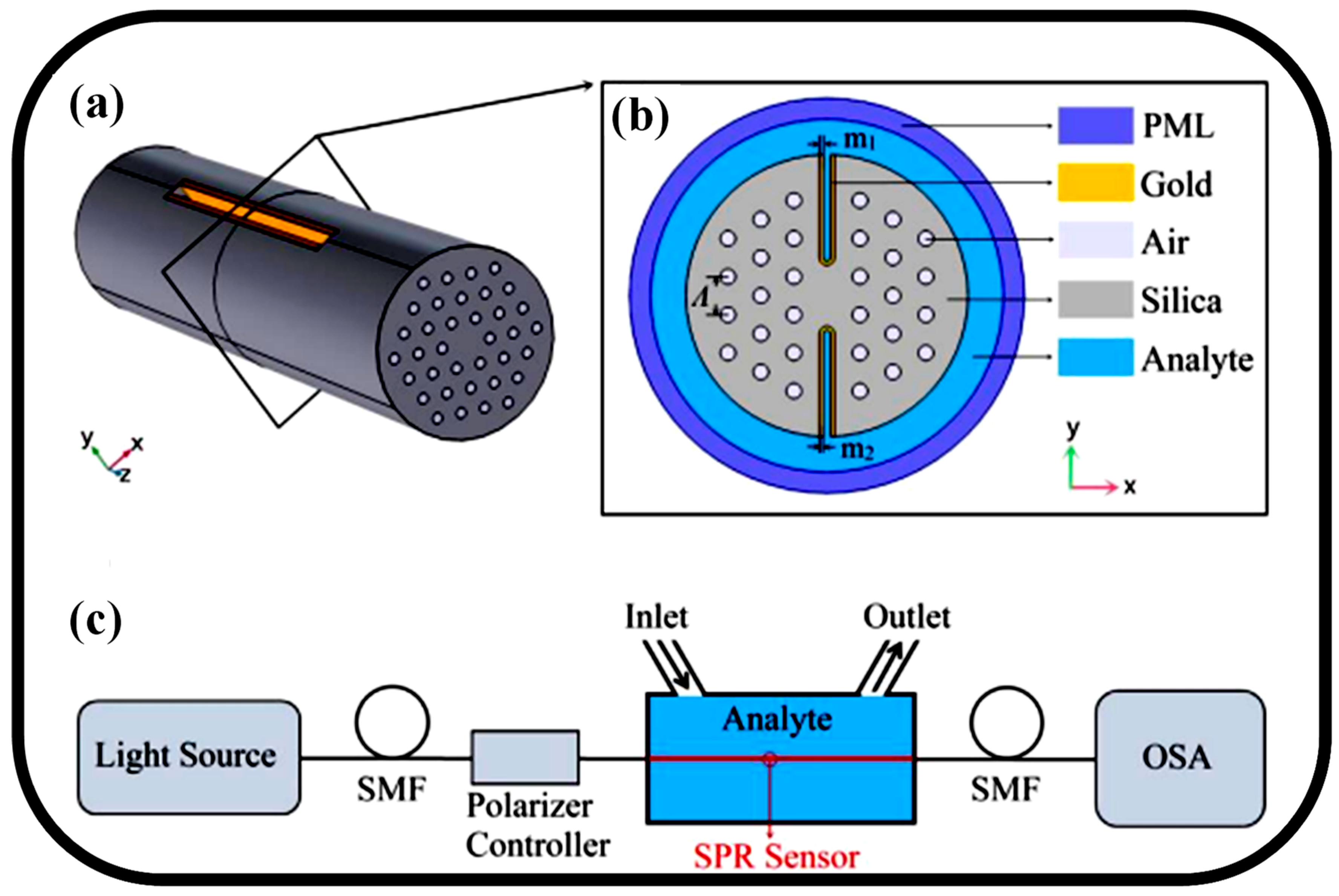 Biosensors 13 00568 g007