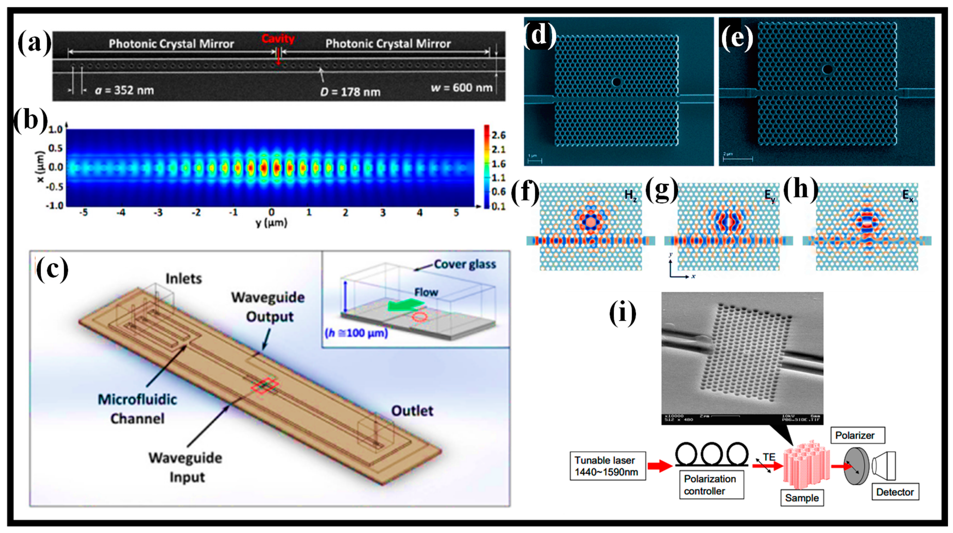 Biosensors 13 00568 g009