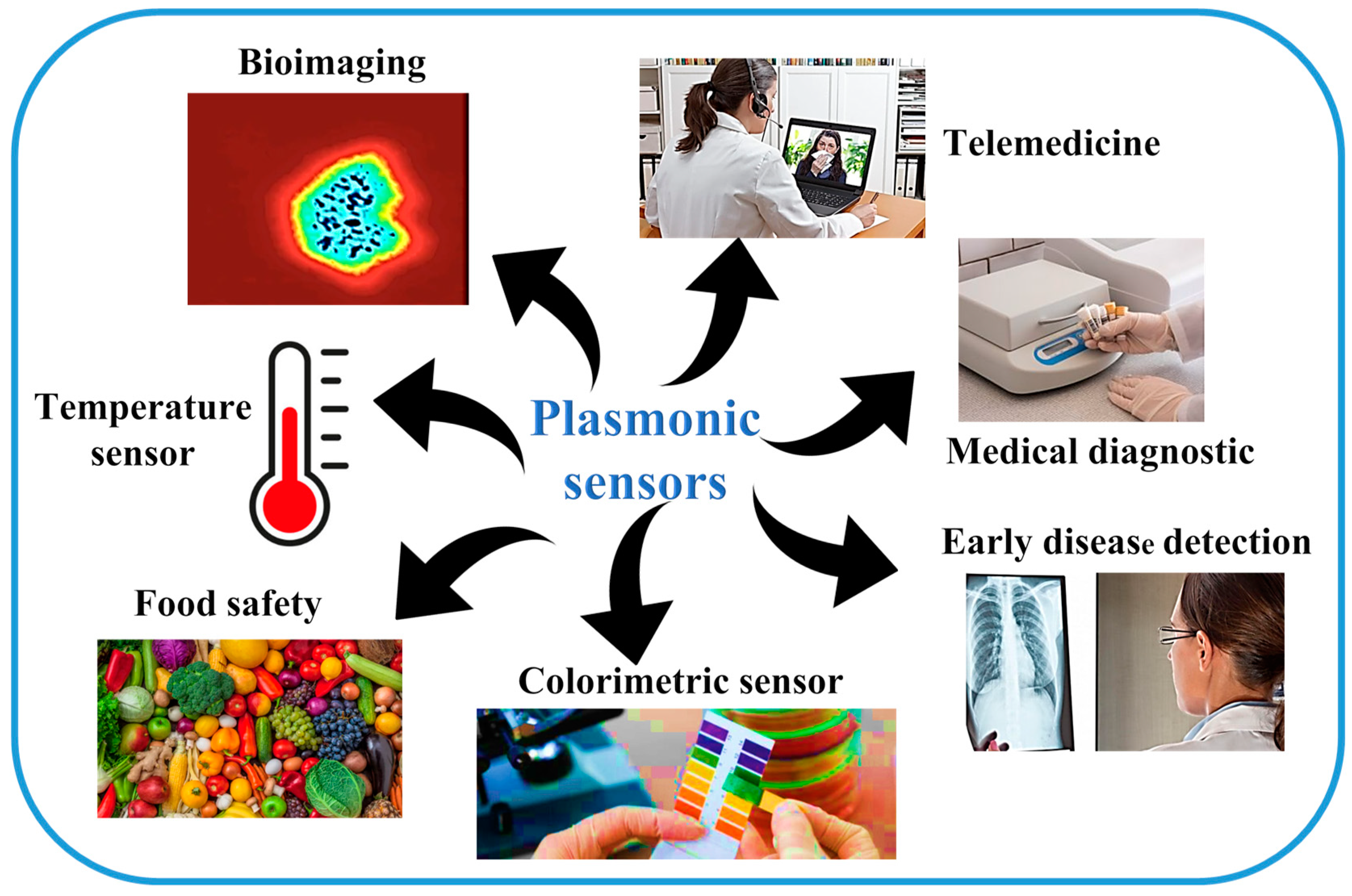 Biosensors 13 00568 g012