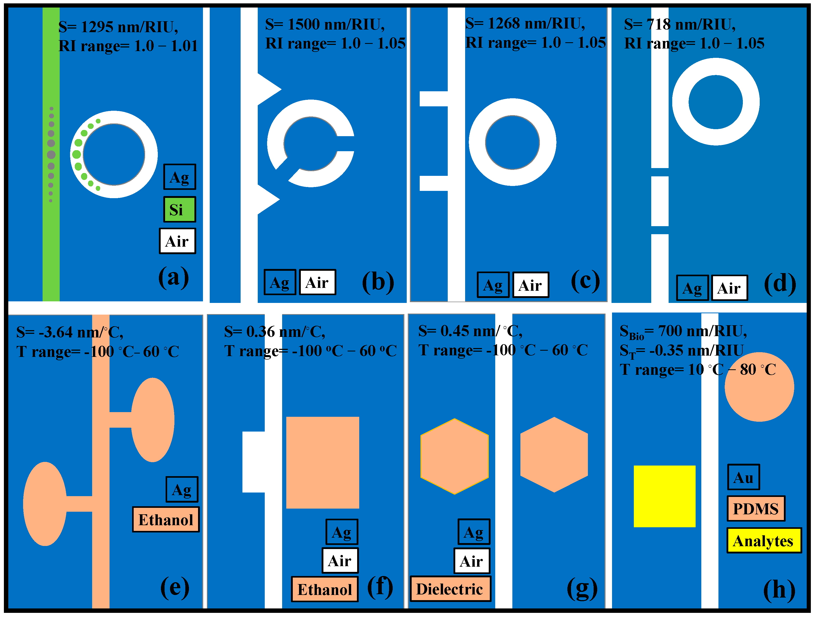 Biosensors 13 00568 g013