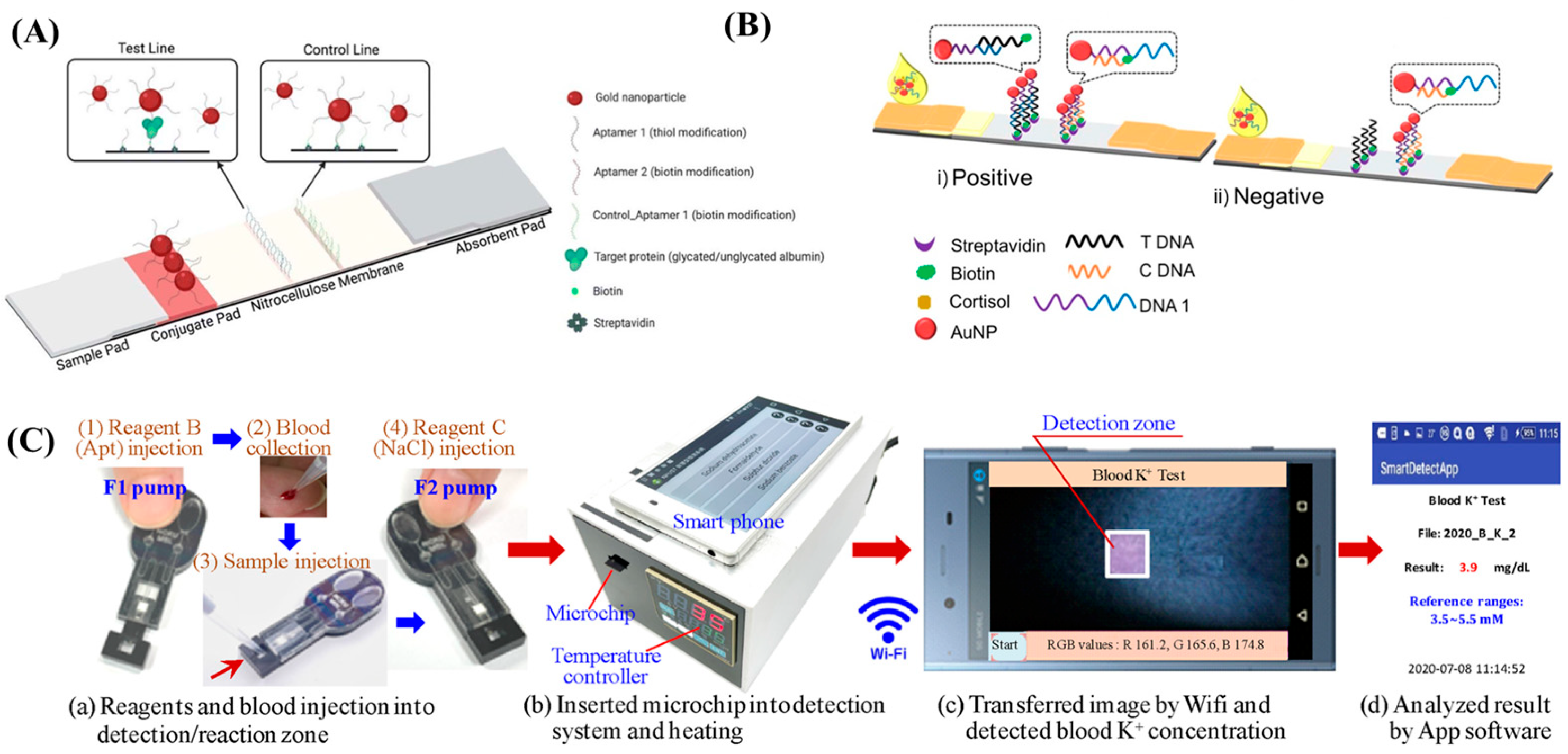 Biosensors 13 00569 g002
