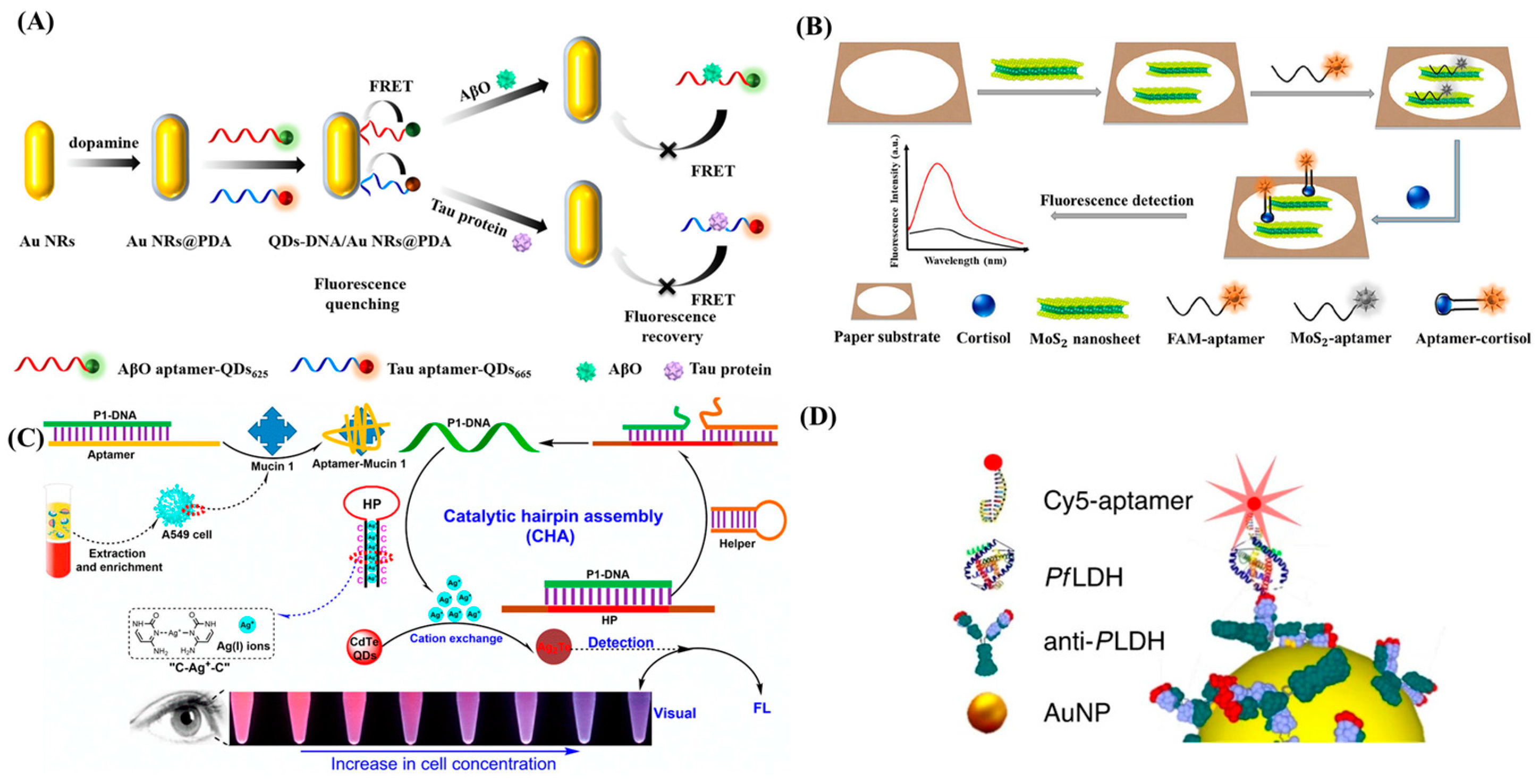 Biosensors 13 00569 g004