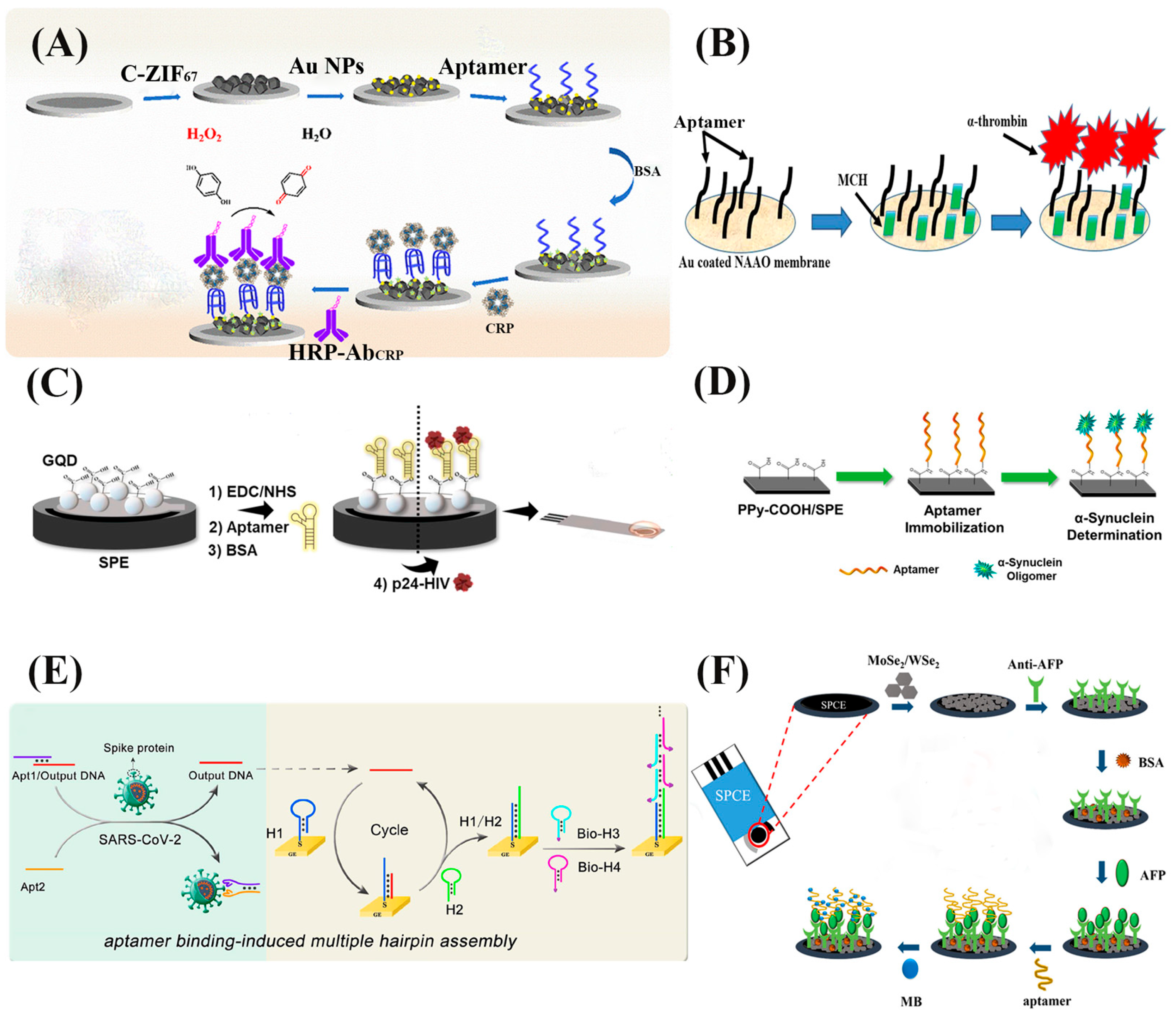 Biosensors 13 00569 g008