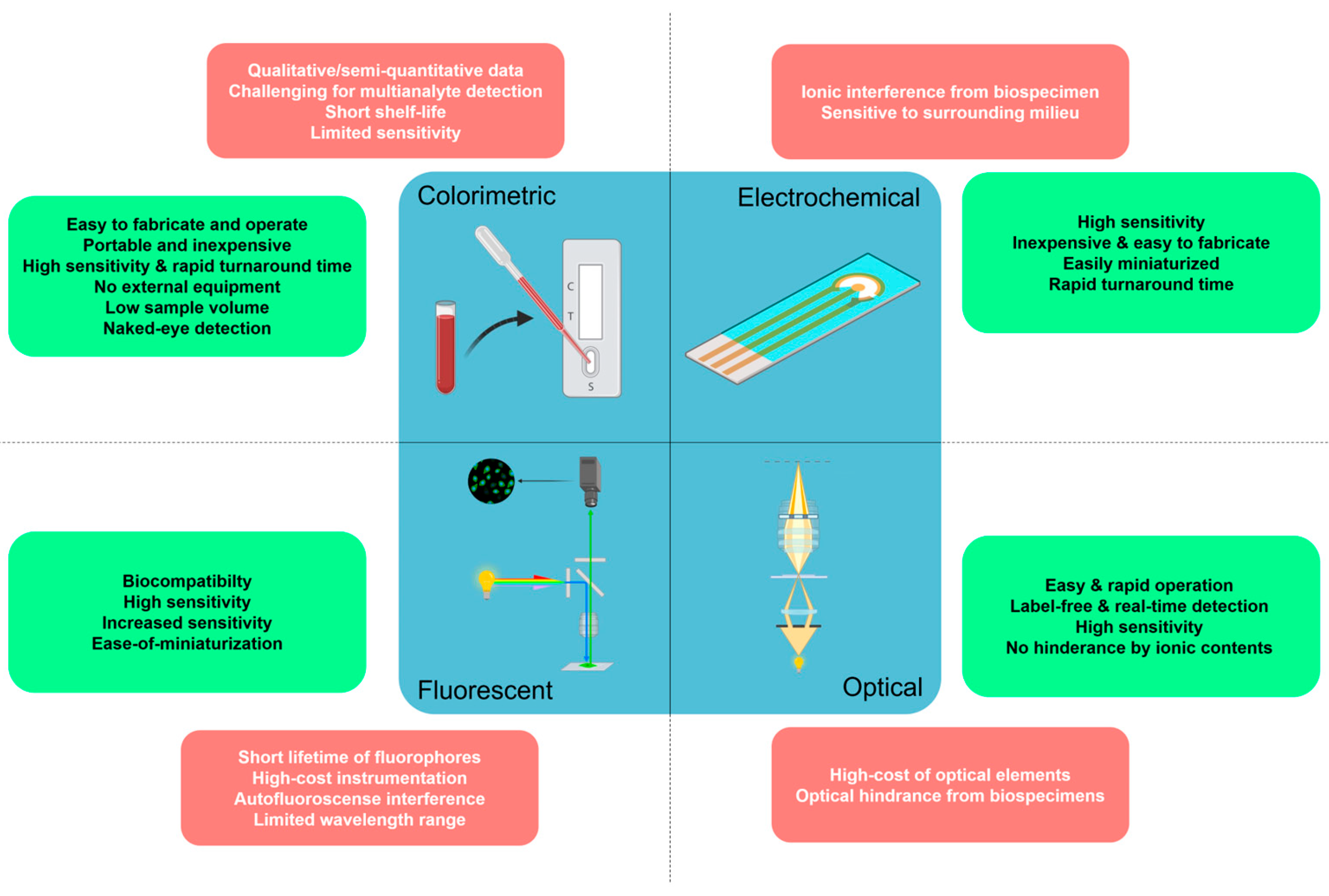 Biosensors 13 00569 g010