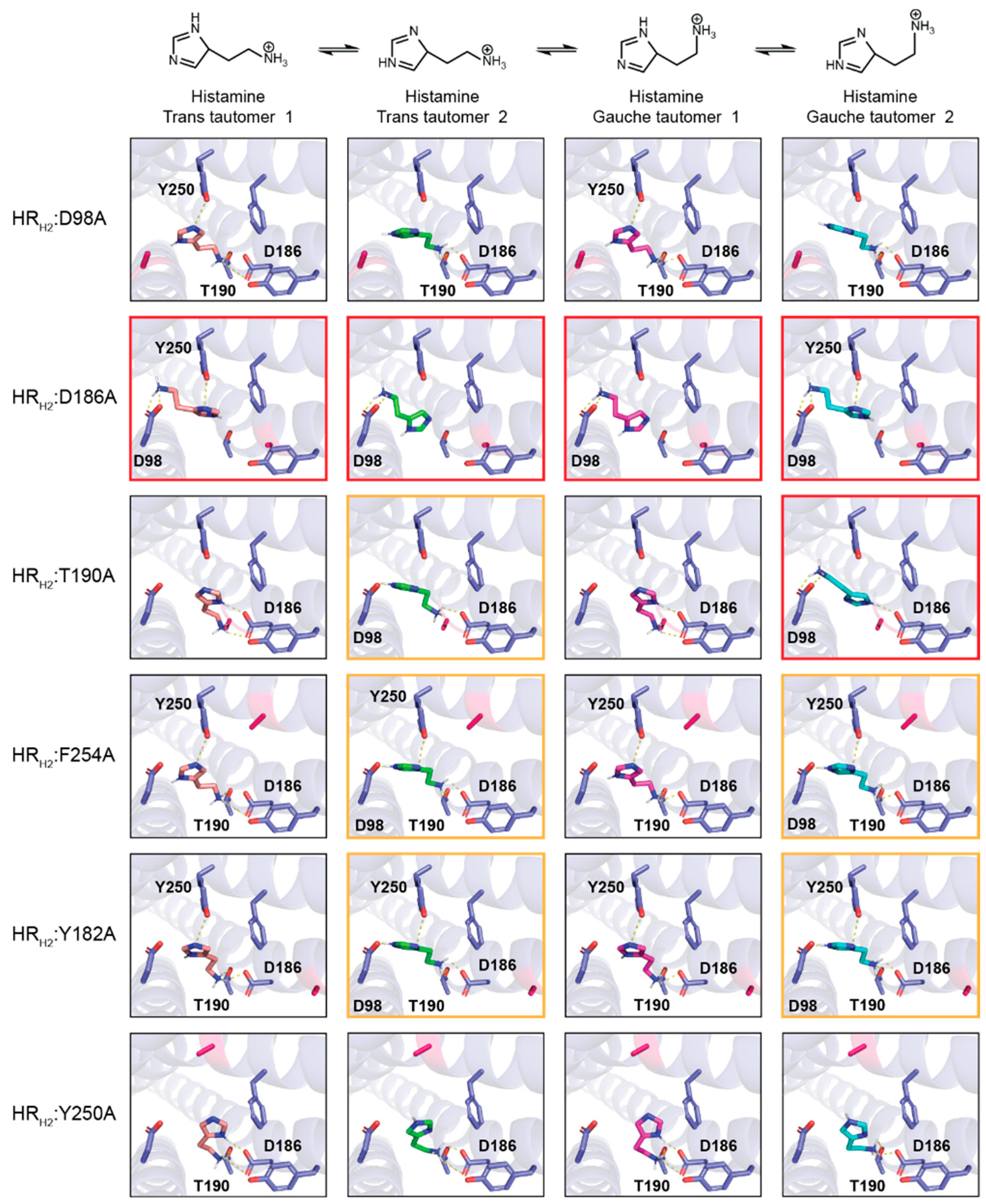 Biosensors 13 00571 g002