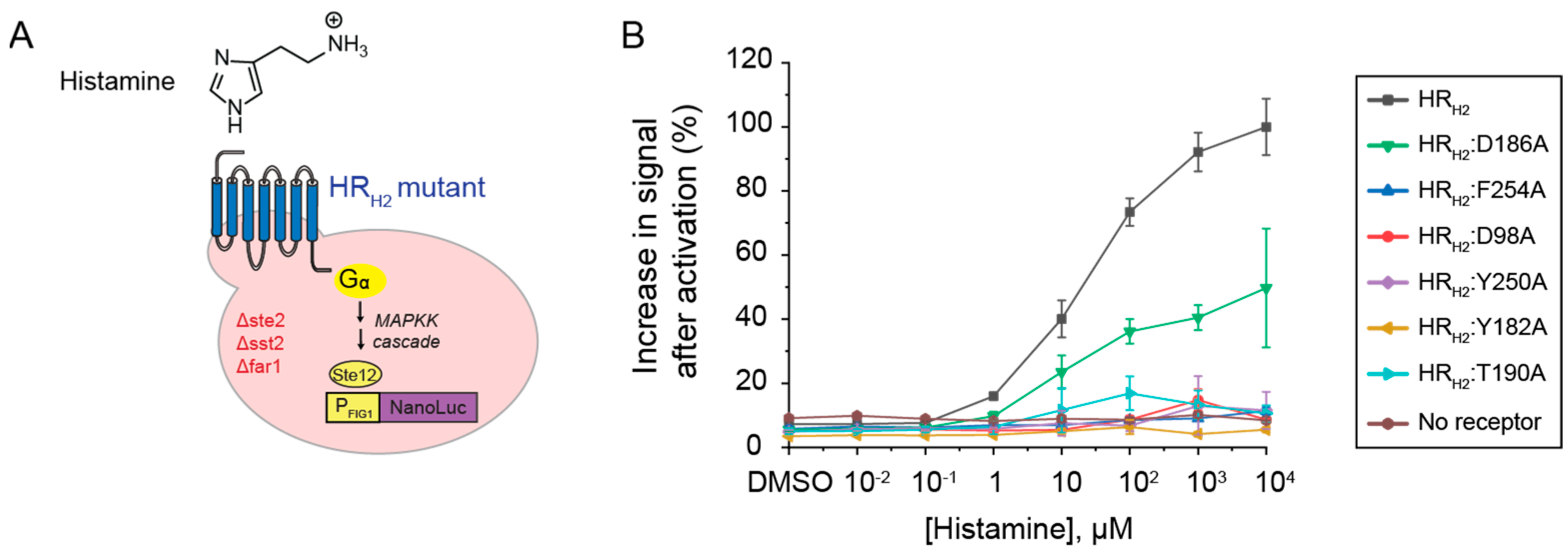 Biosensors 13 00571 g003