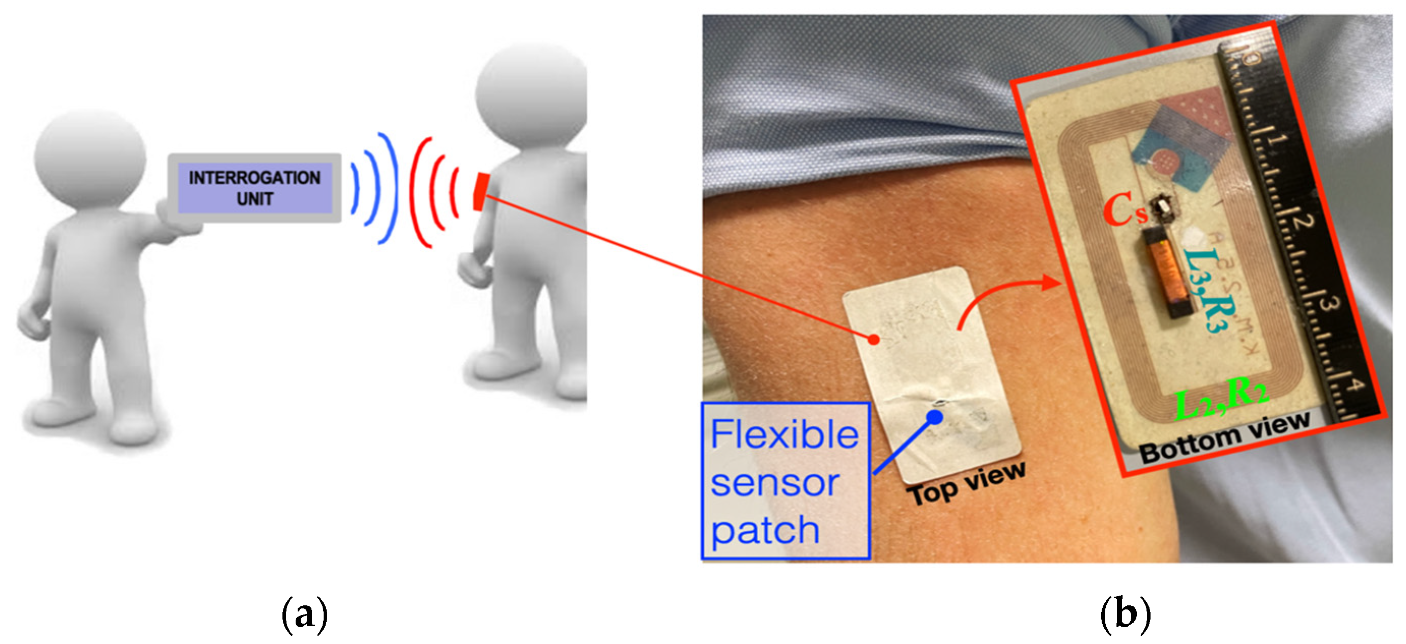 Biosensors 13 00572 g001
