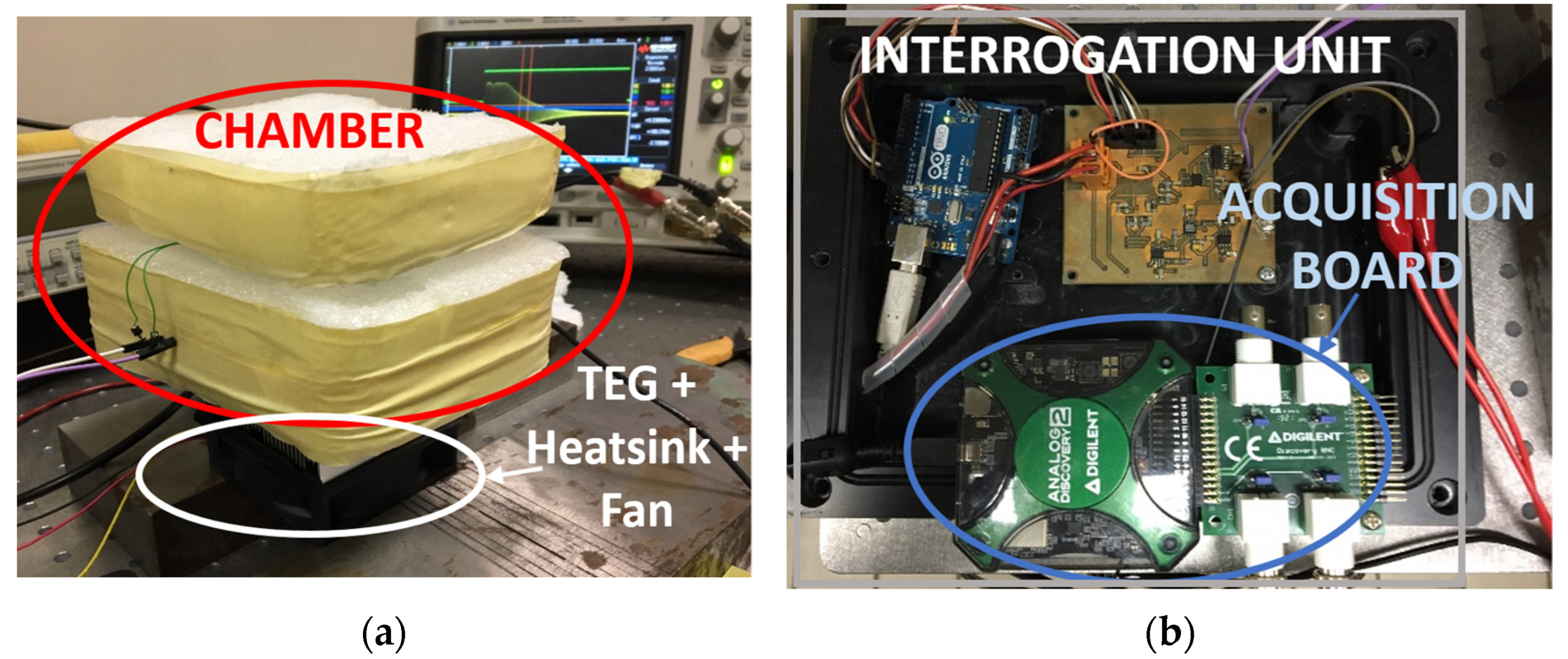Biosensors 13 00572 g005