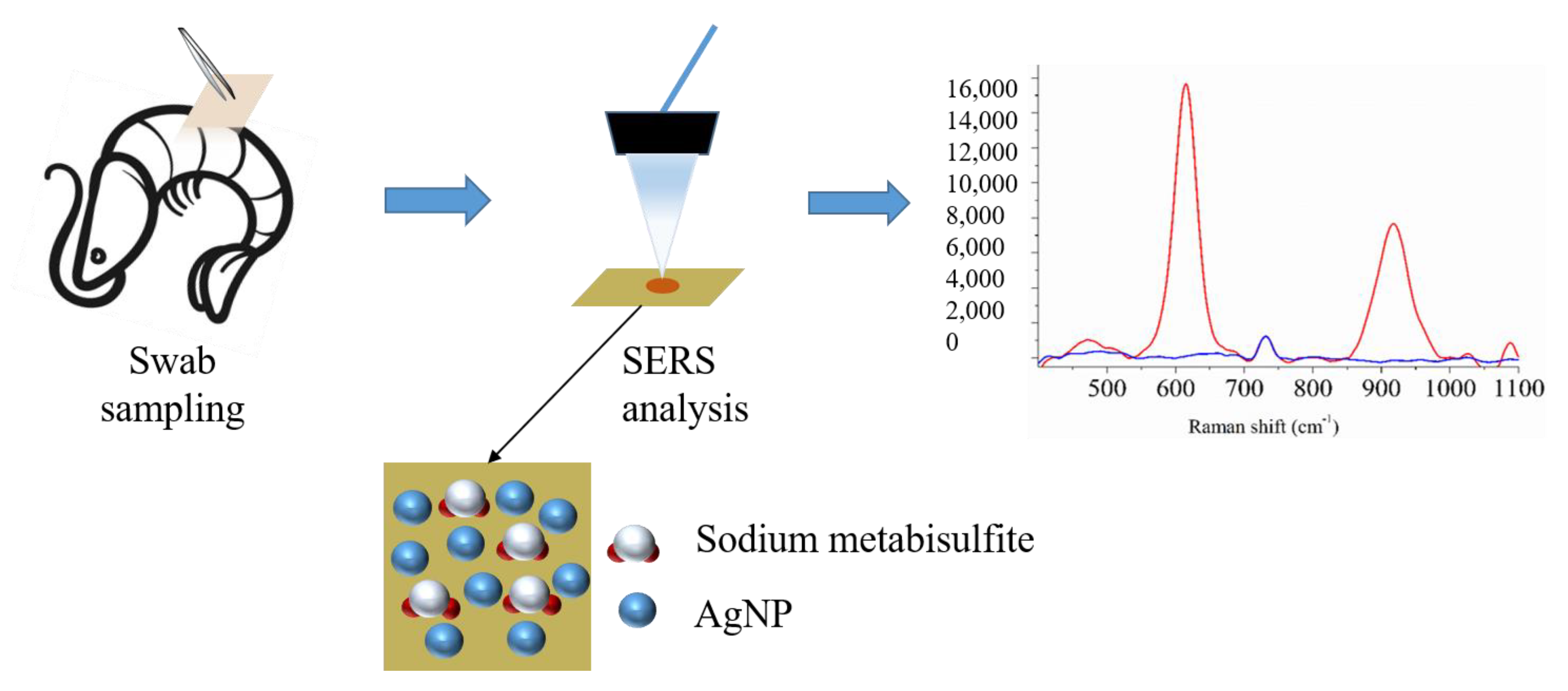 Biosensors 13 00575 g001