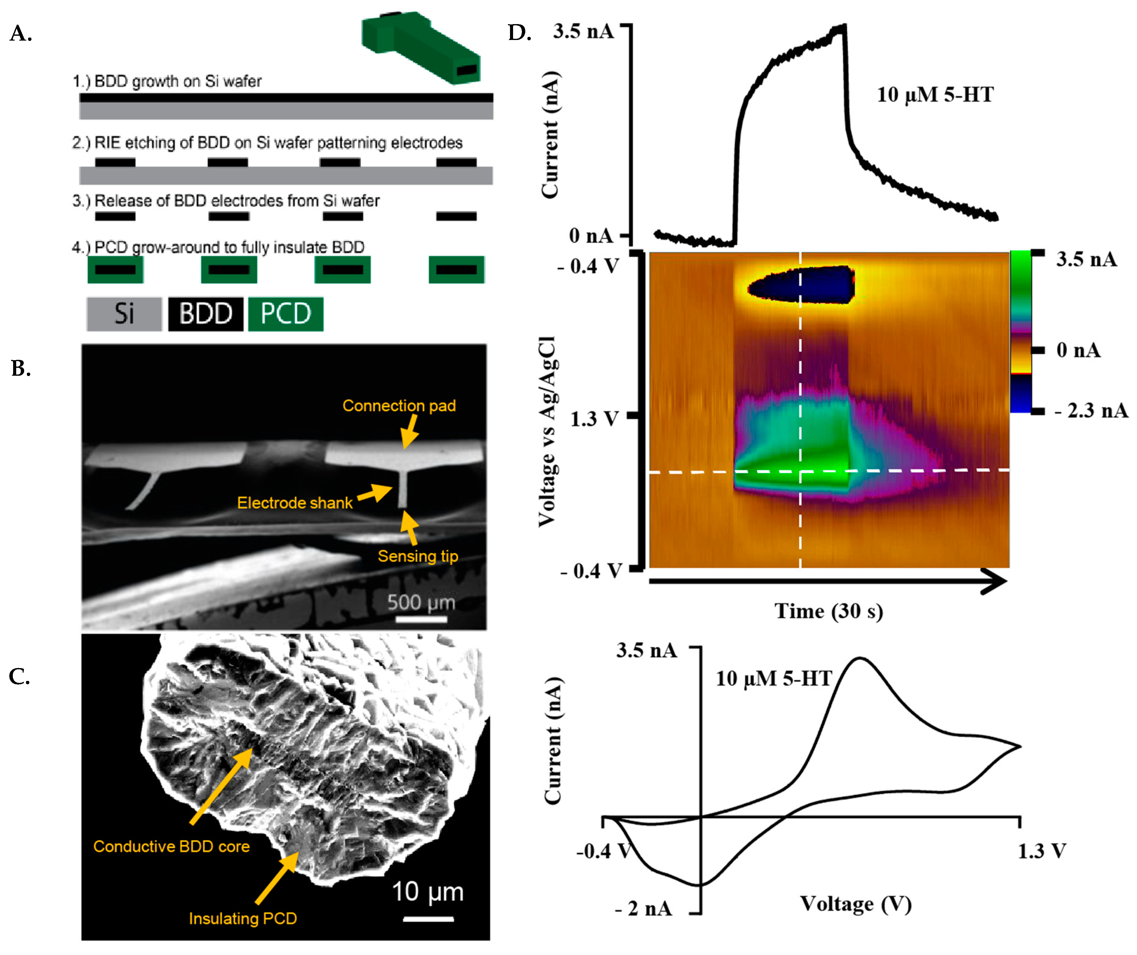 Biosensors 13 00576 g001