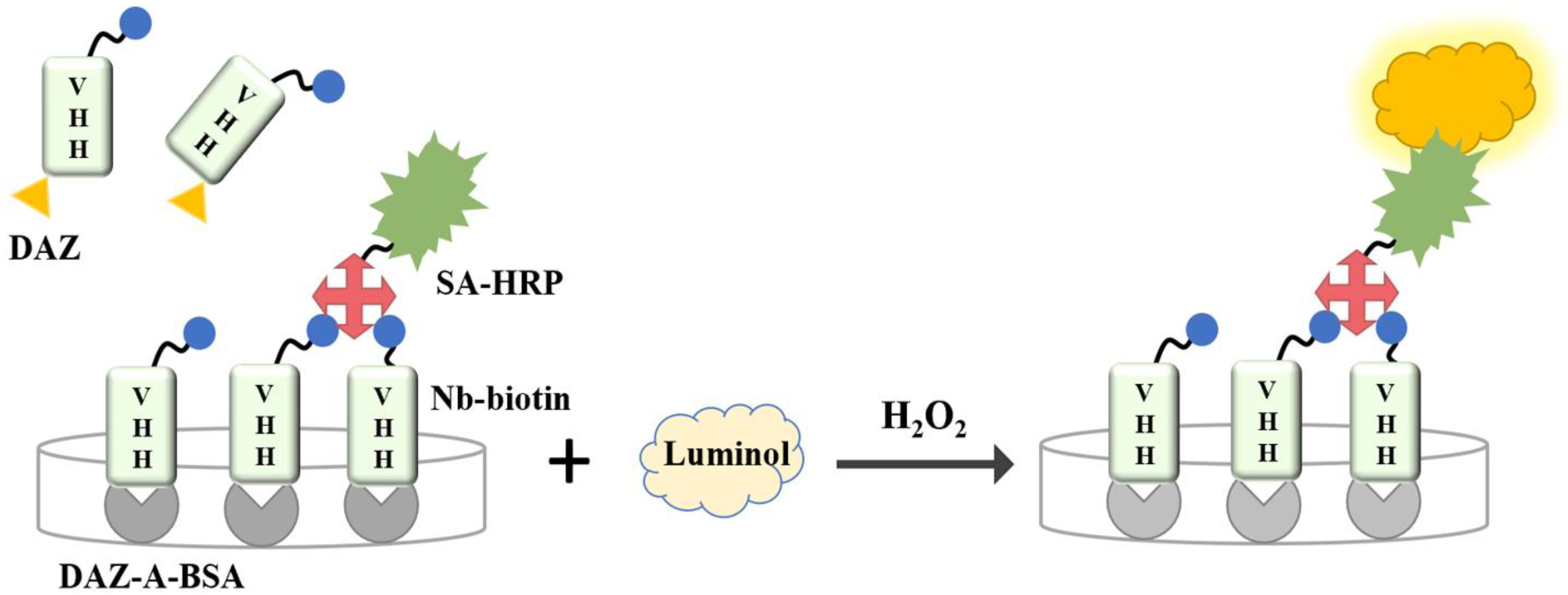 Biosensors 13 00577 sch001
