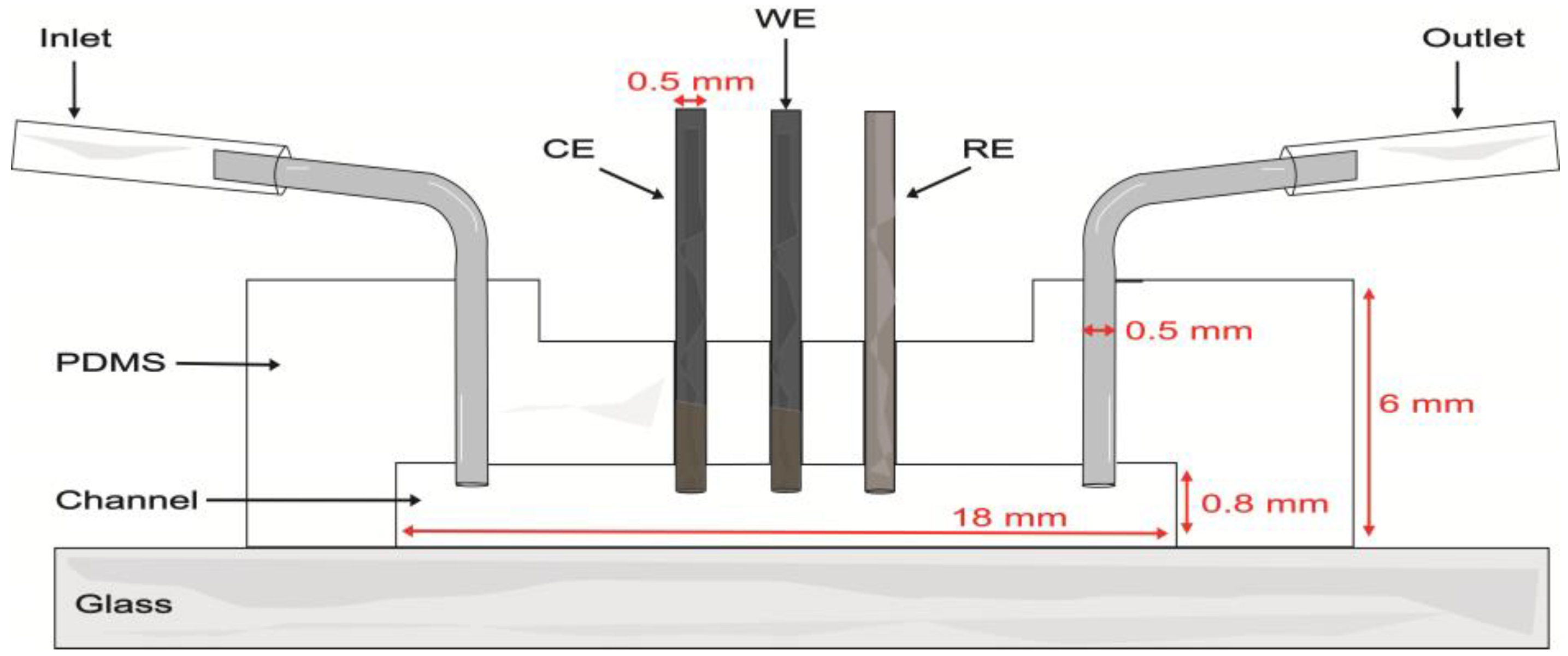 Biosensors 13 00582 g001
